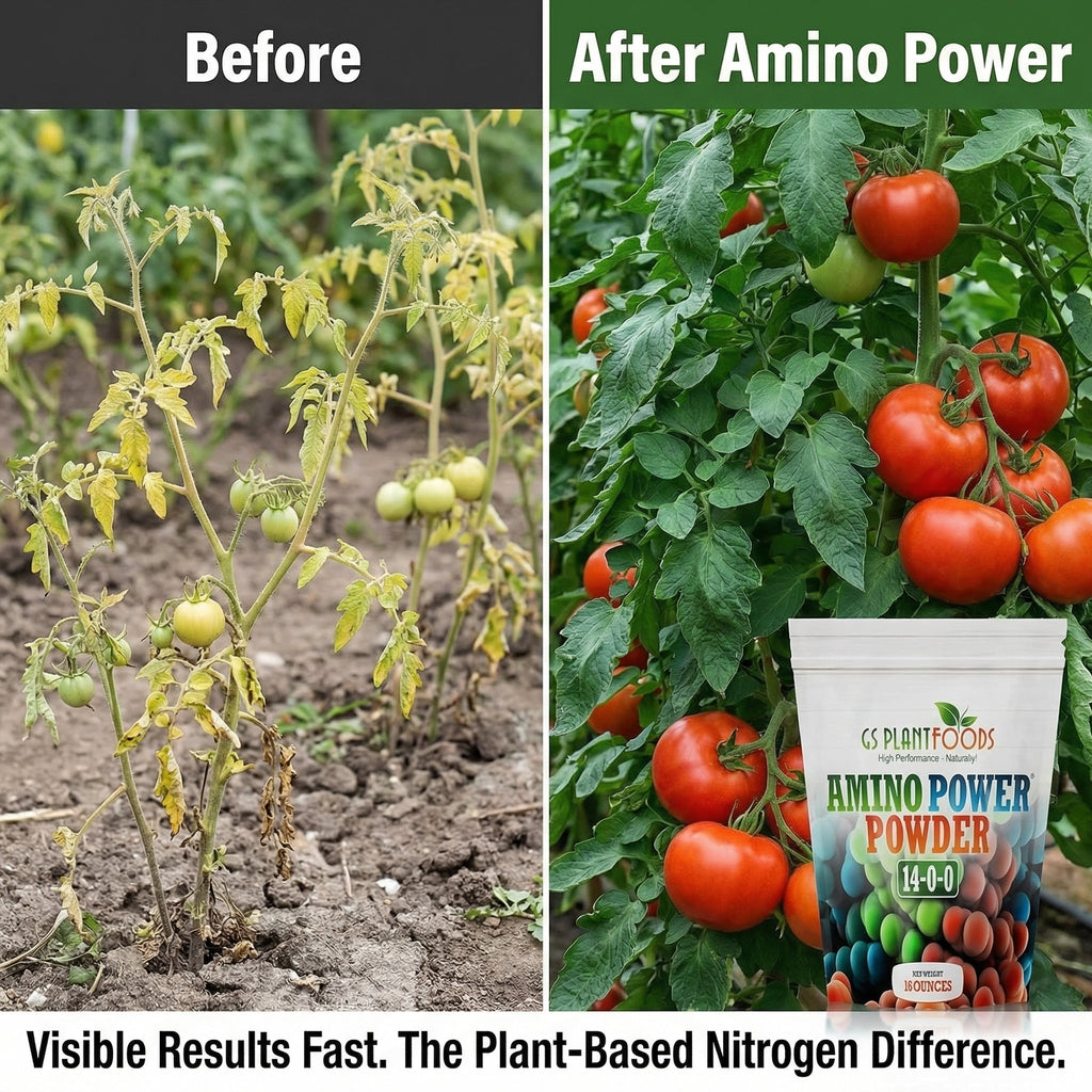 Amino Power Powder Nitrogen Fertilizer 16 oz - Plant-Based 100% Water Soluble High Nitrogen Source - 18 L-Amino Acids Chelating Agent for Foliar Spray, Turf, Vegetables, Fruits & Indoor Plants product image 2