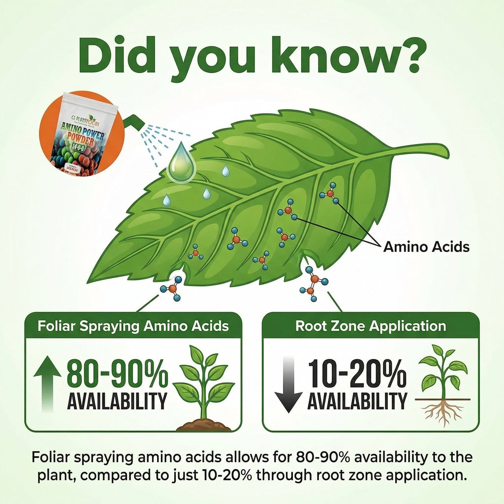 Amino Power Powder Nitrogen Fertilizer 16 oz - Plant-Based 100% Water Soluble High Nitrogen Source - 18 L-Amino Acids Chelating Agent for Foliar Spray, Turf, Vegetables, Fruits & Indoor Plants product image 3