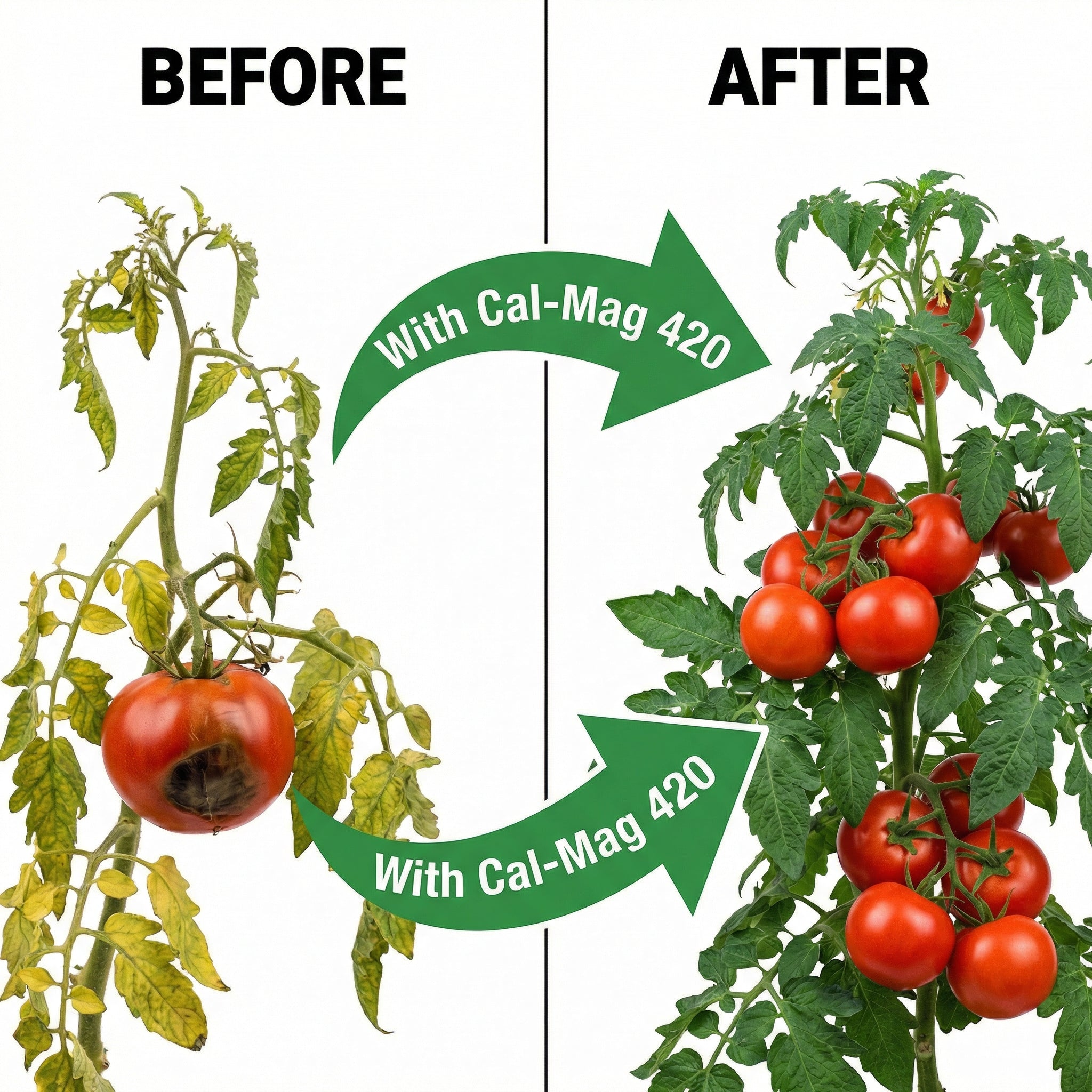 Cal-Mag Extreme – Advanced Calcium, Magnesium &amp; Micronutrient Supplement for Plants – Strengthens Cell Walls, Prevents Deficiencies &amp; Promotes Vigorous Growth – For All Plants, Lawns & Gardens product image 6