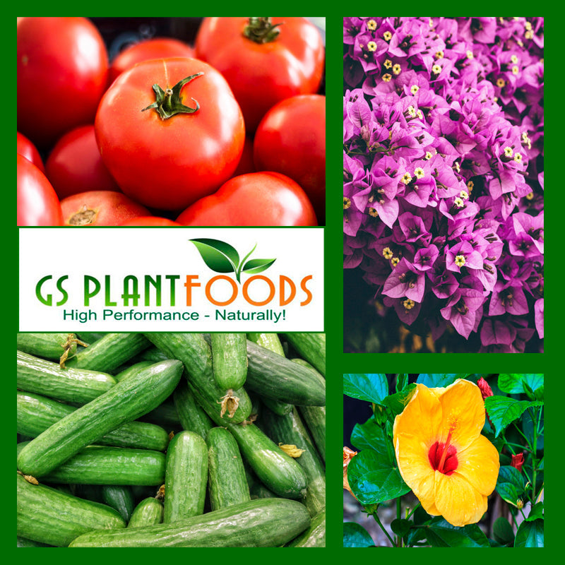 Growth Impact Super Plant Vitamins and Hormones- 8 ounce bottle product image 4