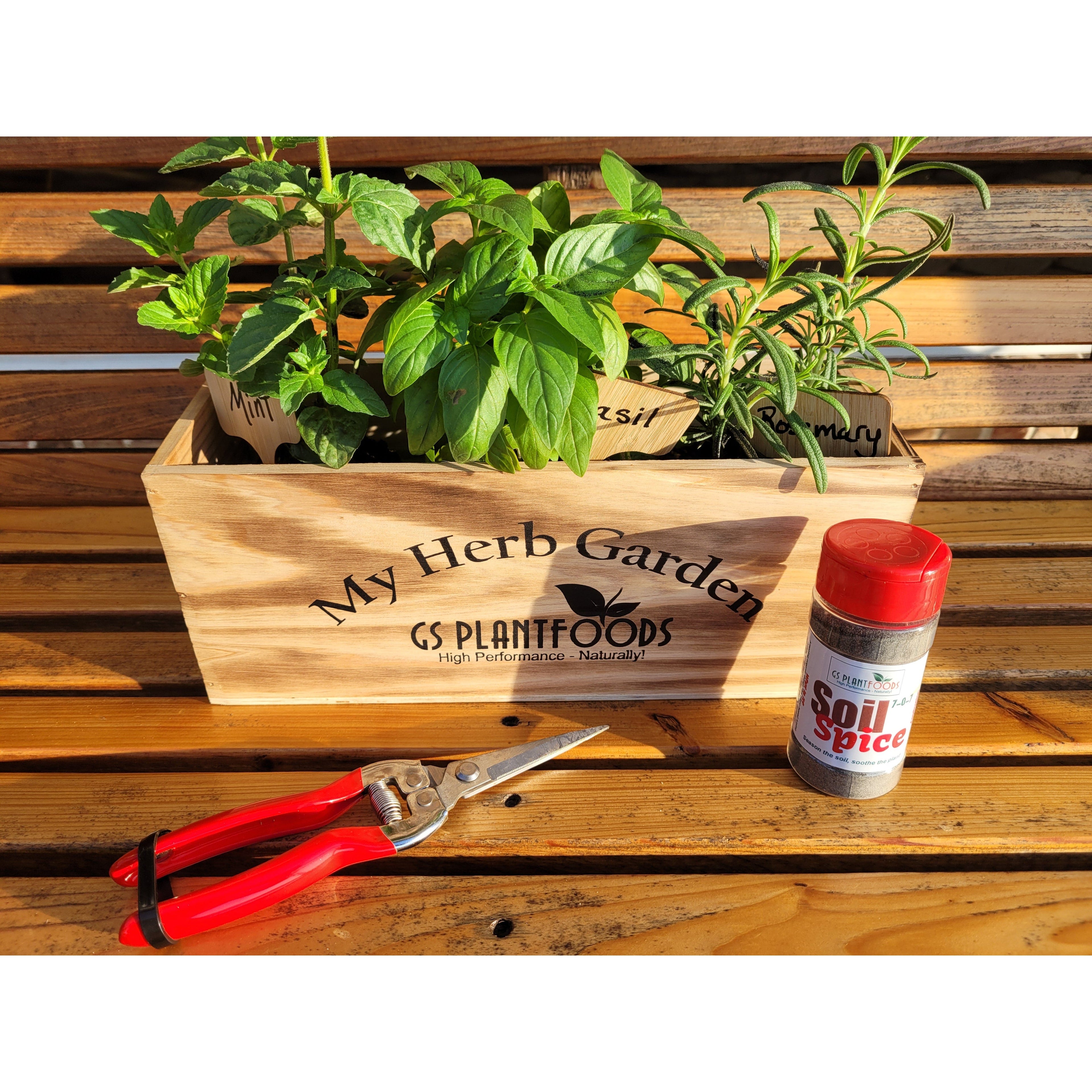 Herb Window Garden Gift Set- Complete windowsill herb garden growing kit product image 2