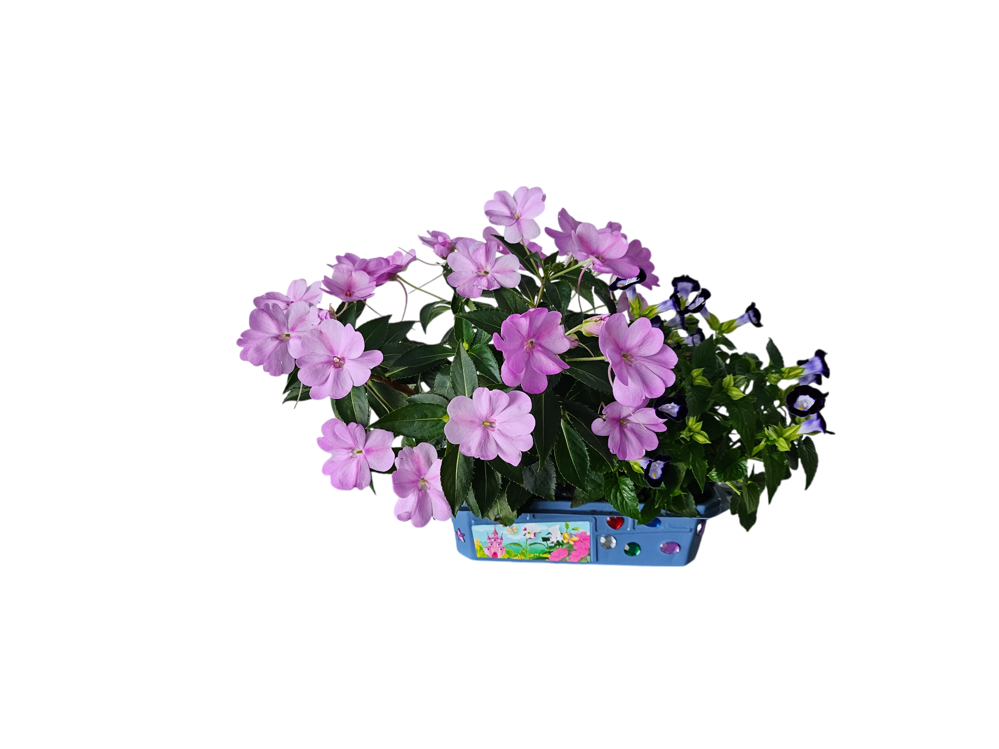 Flower Princess Palace Mini World Terrarium product image 2