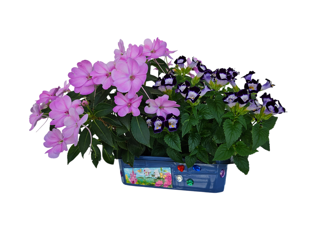Flower Princess Palace Mini World Terrarium product image 3