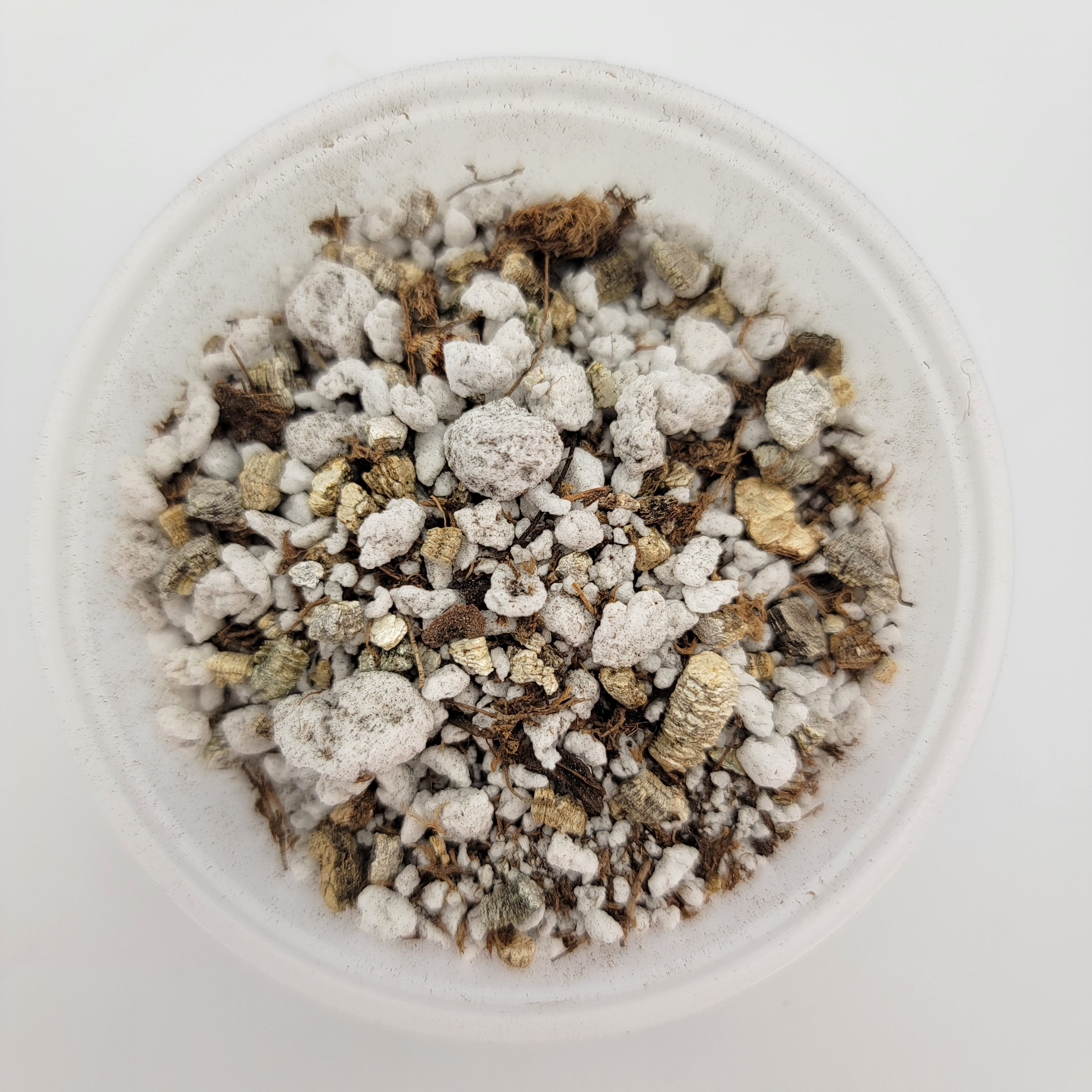 Mexican Pinguicula soil mix package