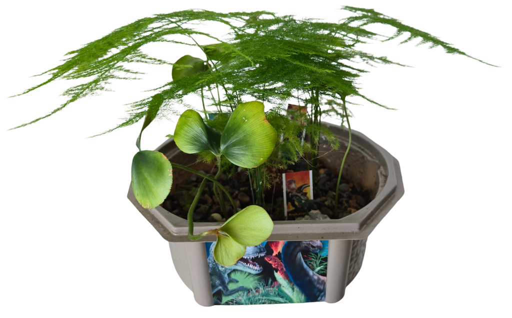 Dinosaur Domain Biosphere Terrarium product image 4