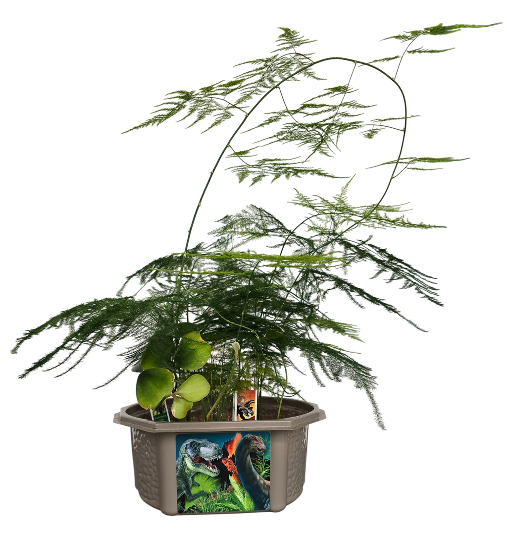Dinosaur Domain Biosphere Terrarium product image 5