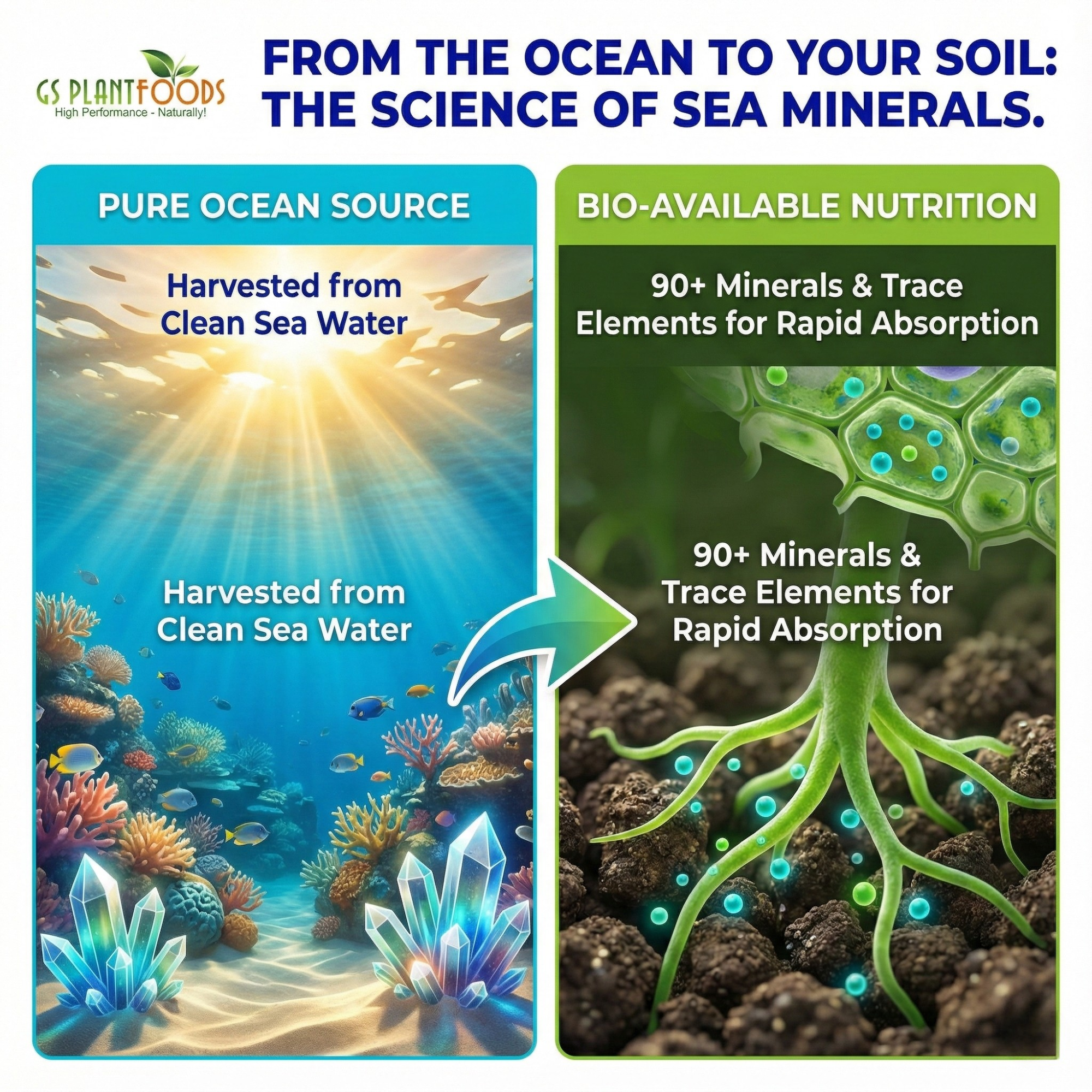 Ocean Magic Sea Minerals product image 3