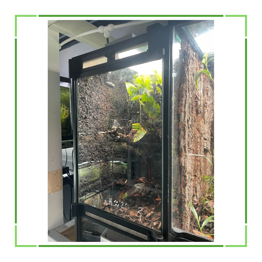 Thrive Ecosystems Aqueon Aquarium Conversion Kit product image 1
