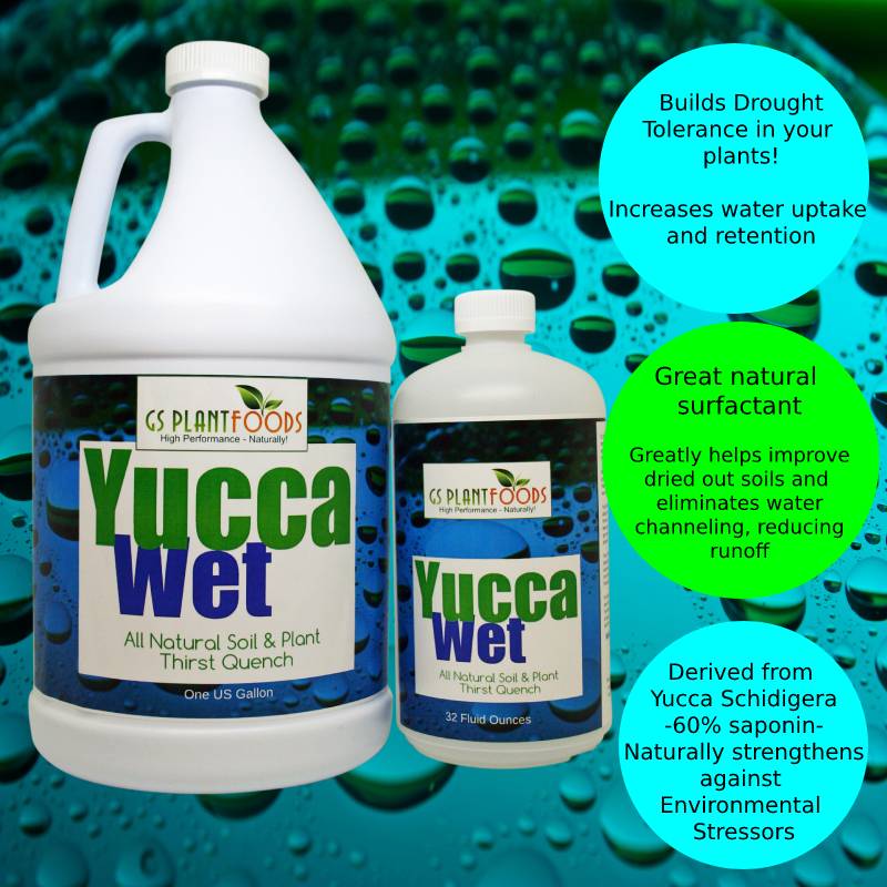 Organic Soil Wetting Agent – Yucca Wet | GS Plant Foods product image 3