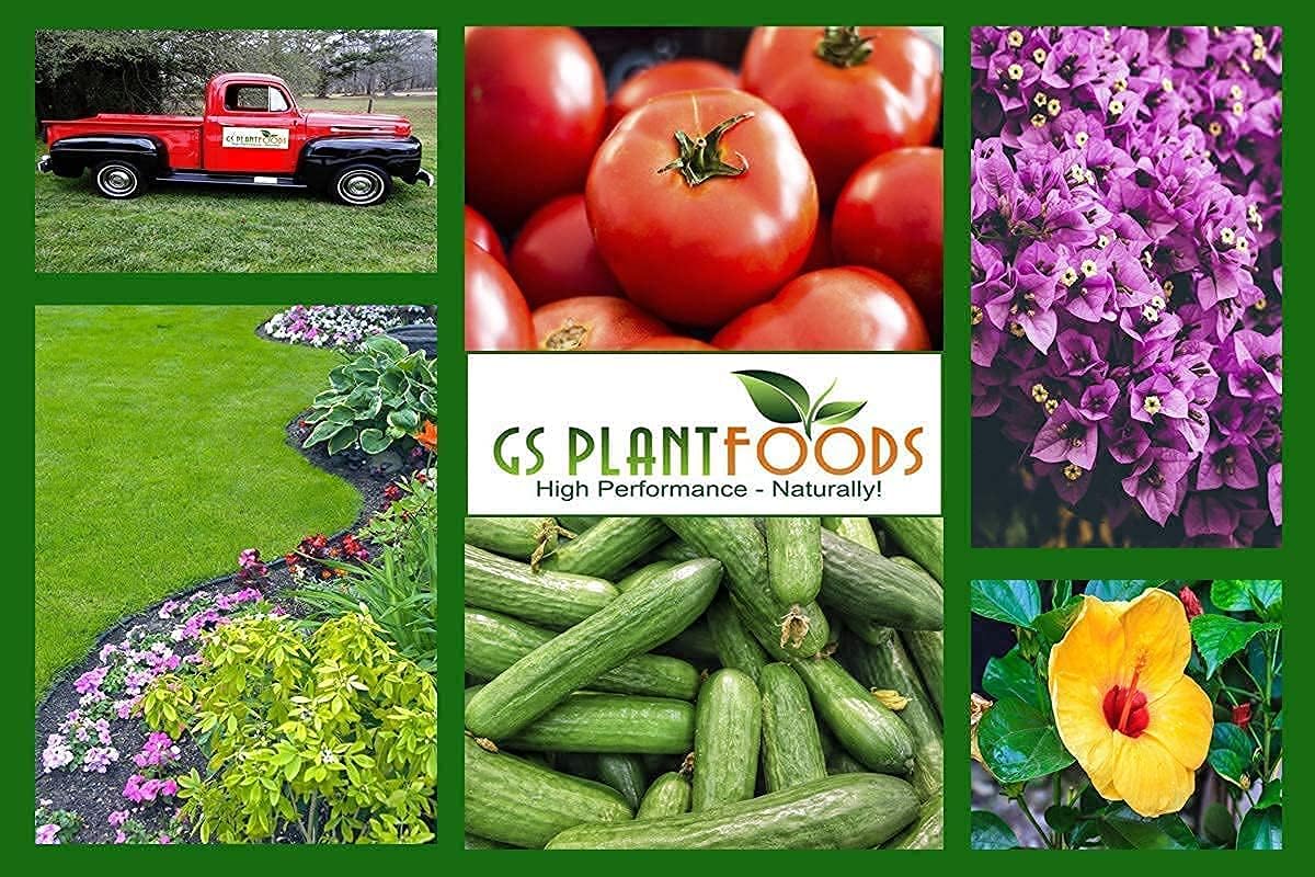 Superfection Emergency First Aid for Plants product image 4