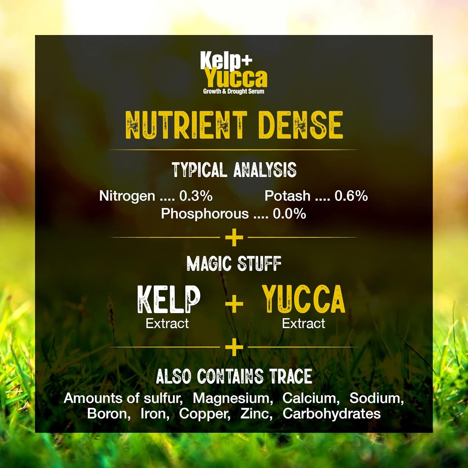 Kelp + Yucca – Organic Soil Moisture Retainer & Plant Growth Enhancer – Seaweed + Yucca Extract Blend for Stronger Roots, Better Water Absorption & Stress Resistance product image 5