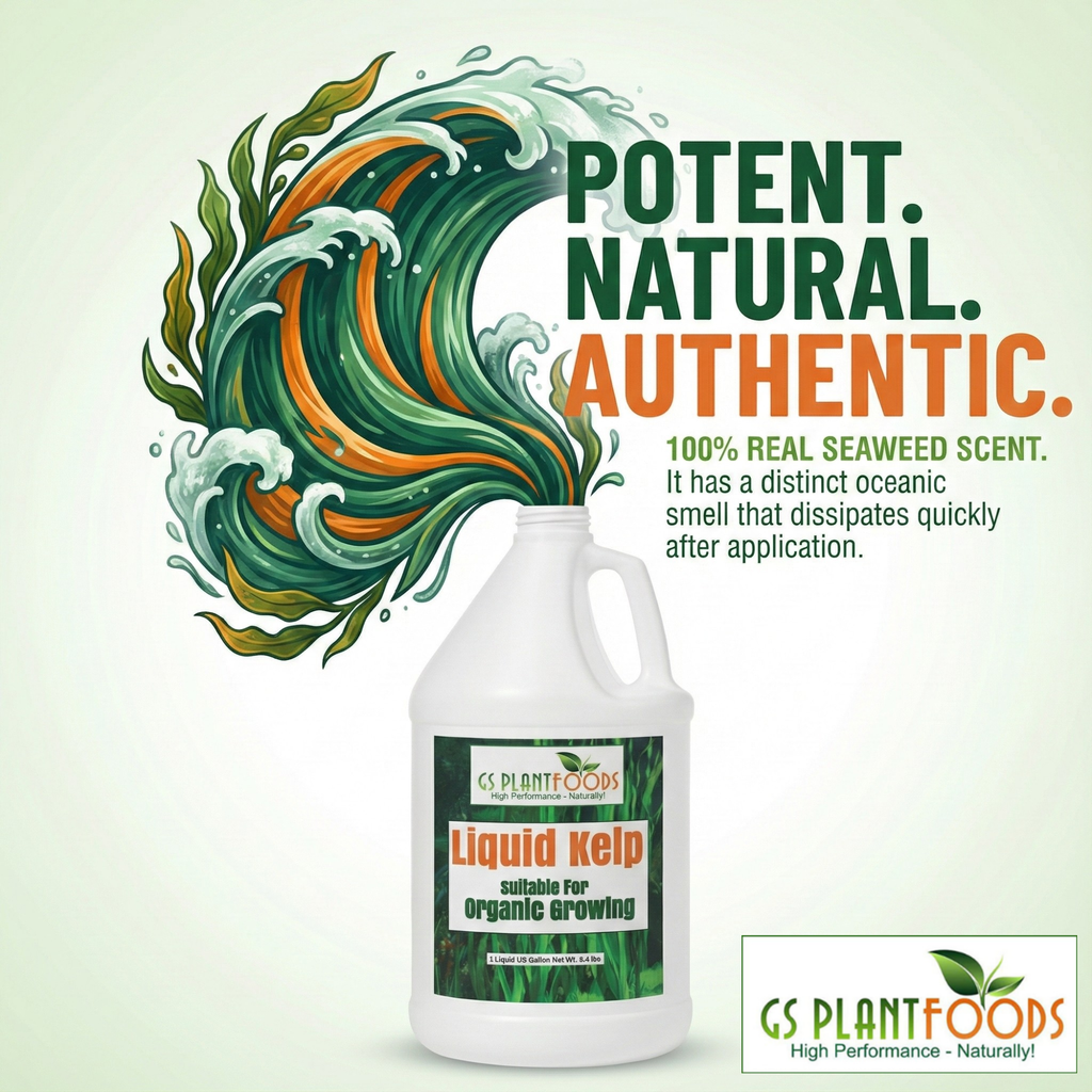 Organic Liquid Kelp Seaweed product image 6