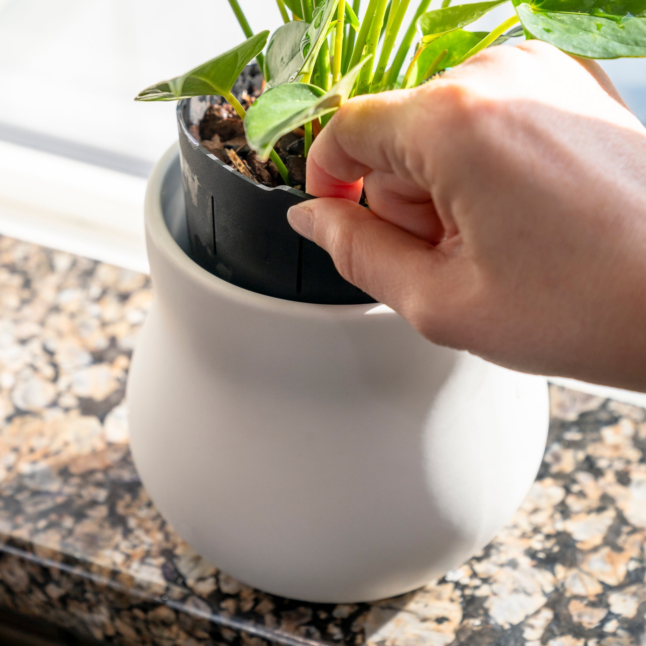 Ceramic Plant Pot with Rubber Liner - Alabaster White product image 3