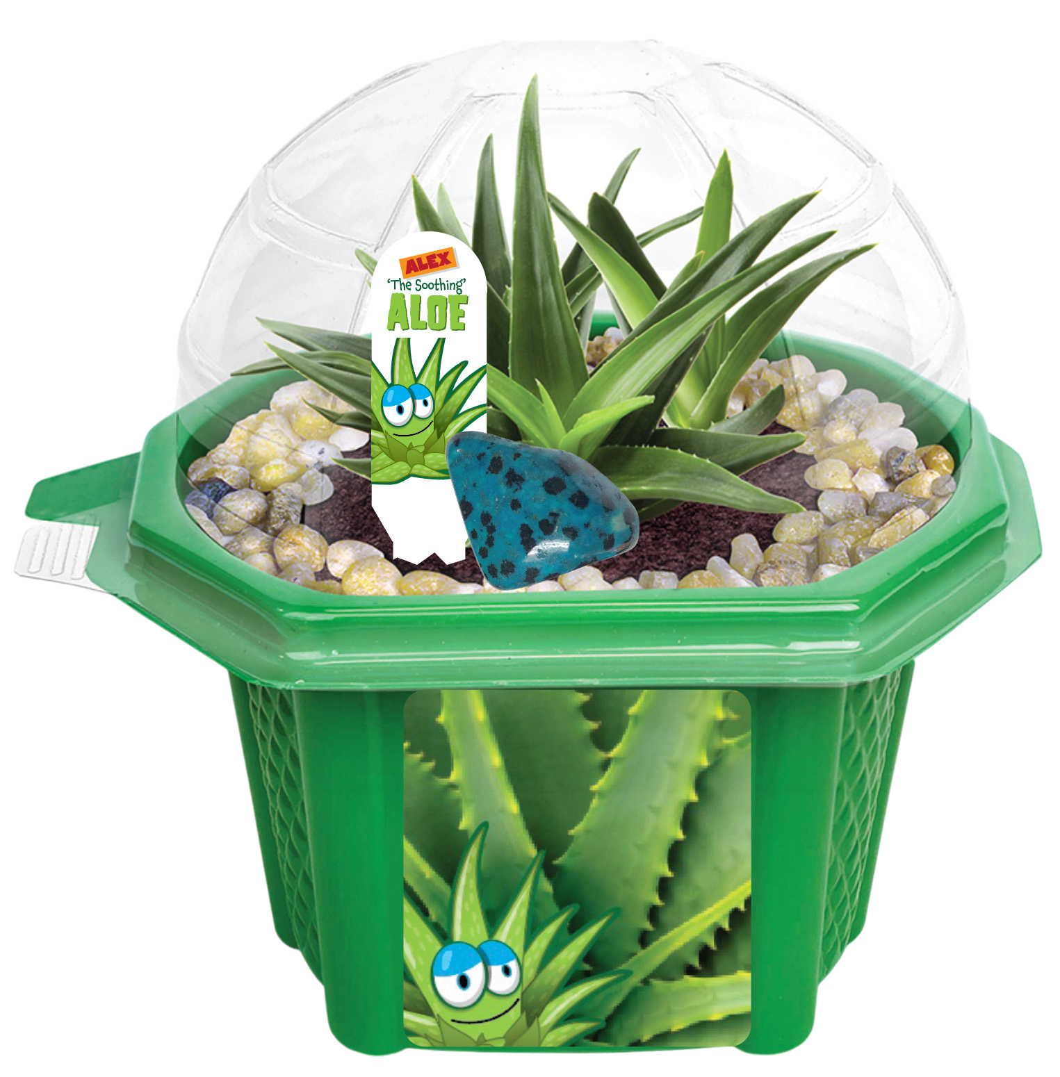 Alex 'The Soothing' Aloe Micro Dome Terrarium product image 3