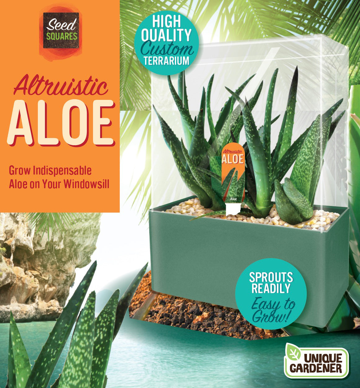 Aloe Seed Square Terrarium product image 1