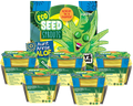 Eco Seed Sprouts Aunt Annie Aloe - Multipack of 5 product image 1