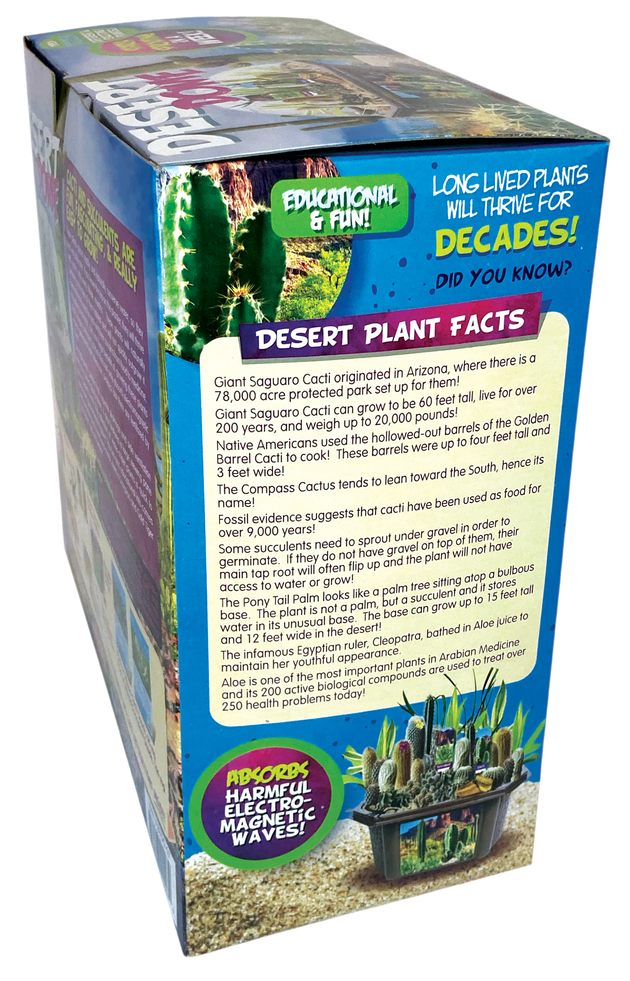 Desert Dome Biosphere Terrarium product image 7