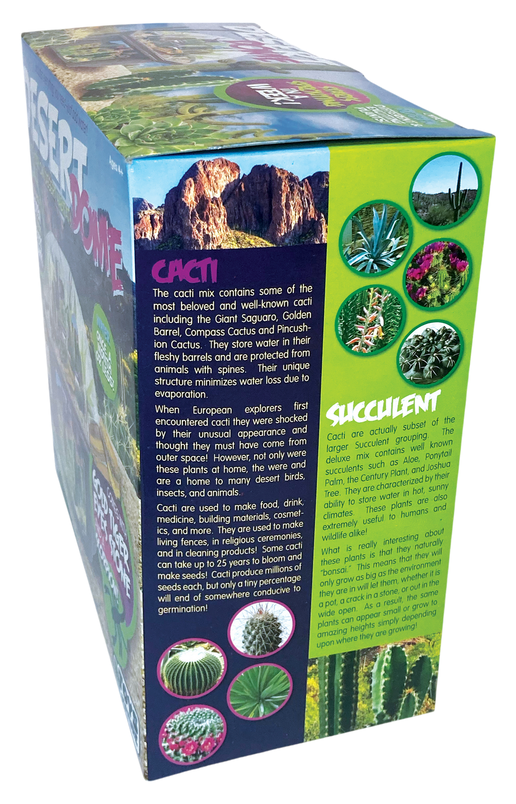 Desert Dome Biosphere Terrarium product image 8
