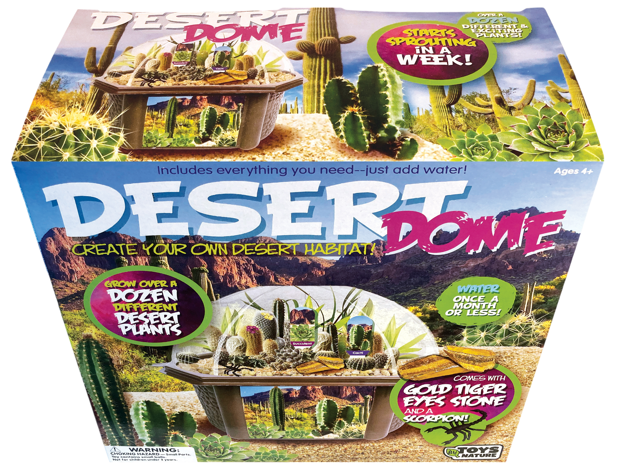 Desert Dome Biosphere Terrarium product image 5