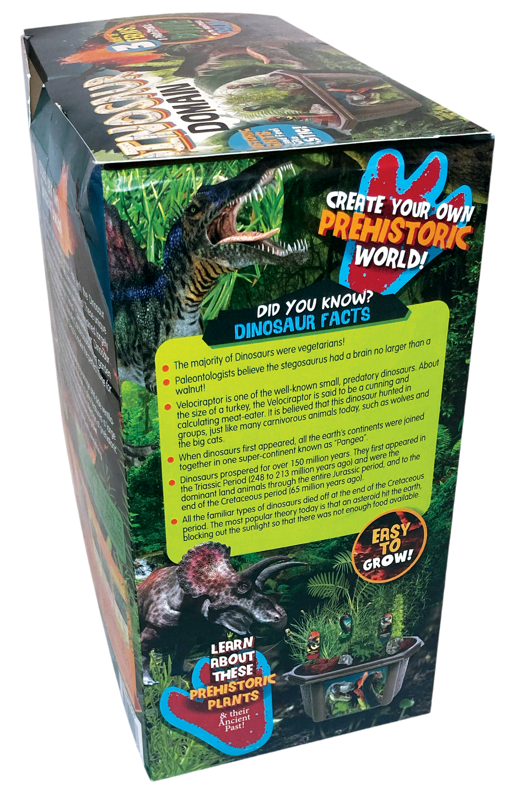 Dinosaur Domain Biosphere Terrarium product image 10