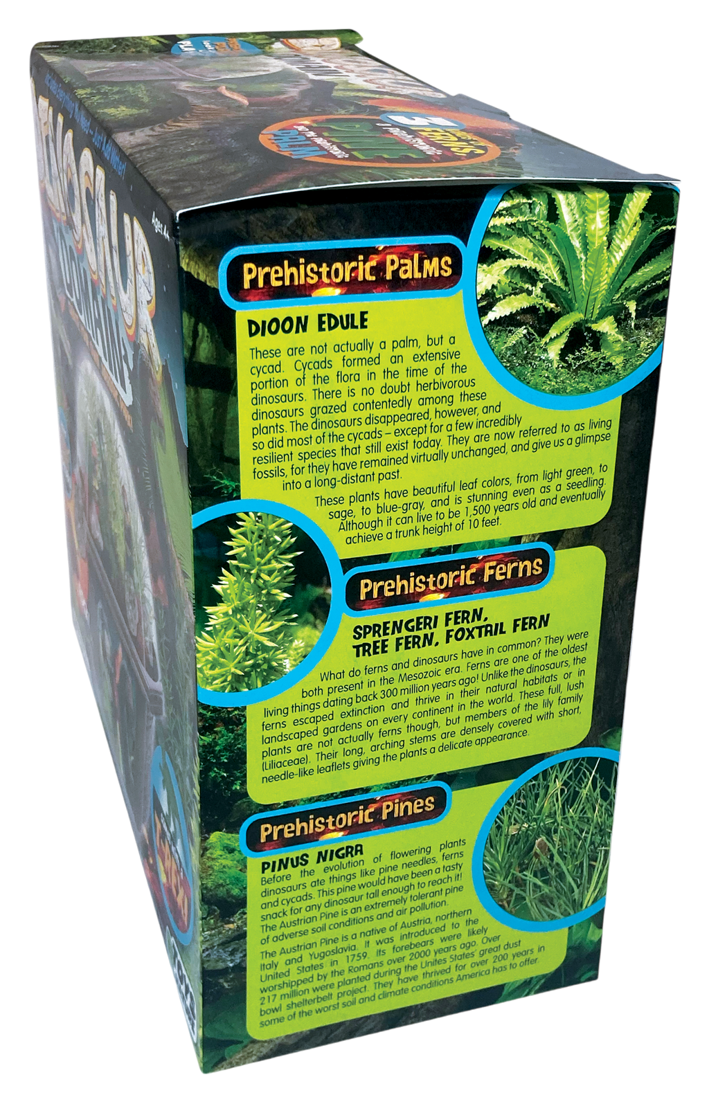Dinosaur Domain Biosphere Terrarium product image 11