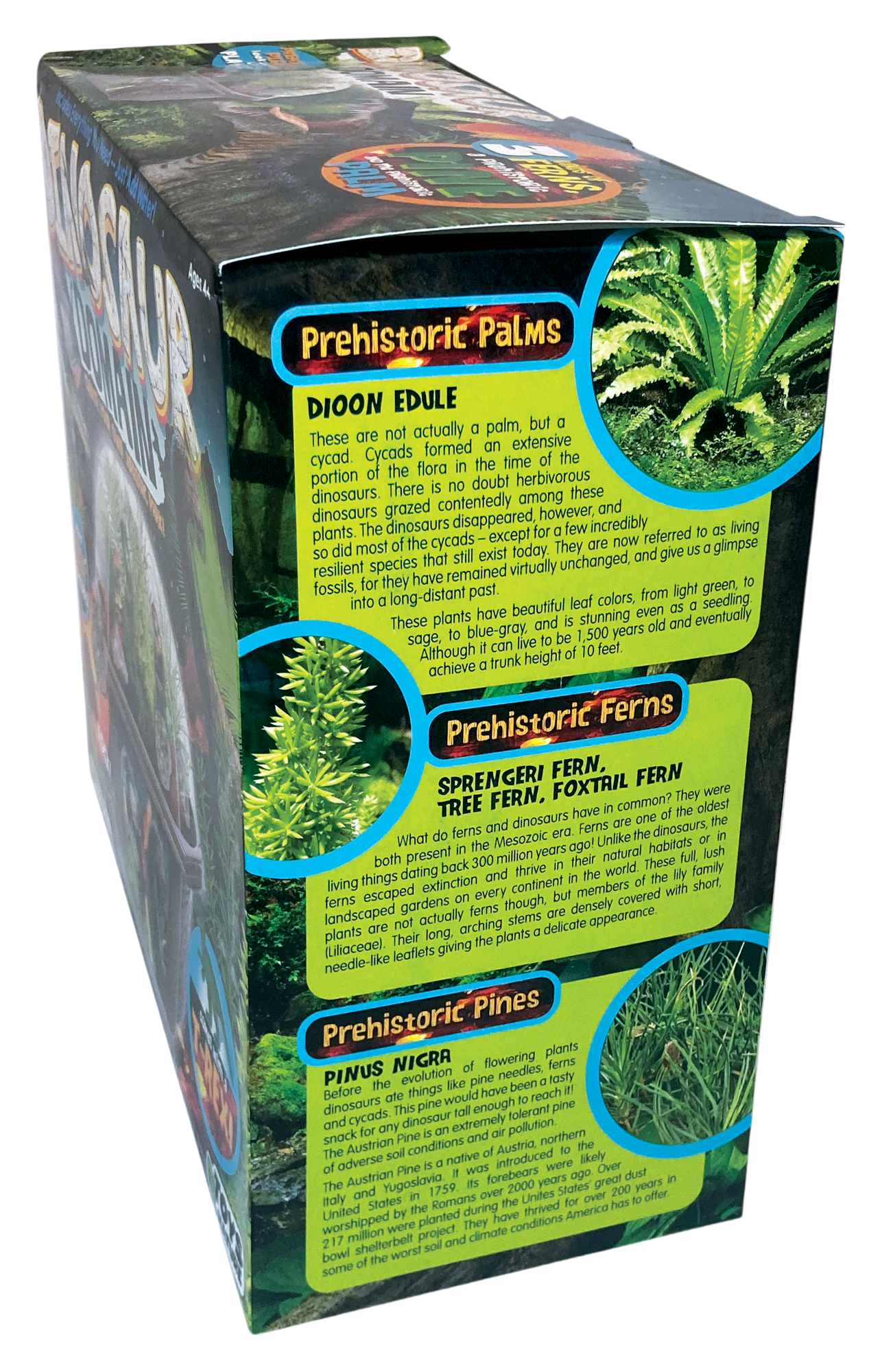 Dinosaur Domain Biosphere Terrarium product image 11