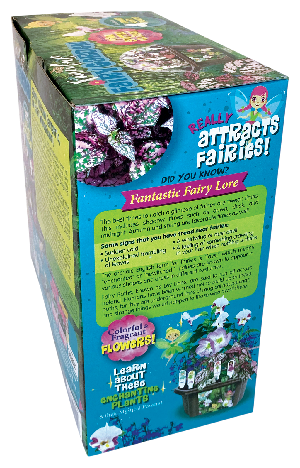 Fanciful Fairy Garden Biosphere Terrarium product image 8