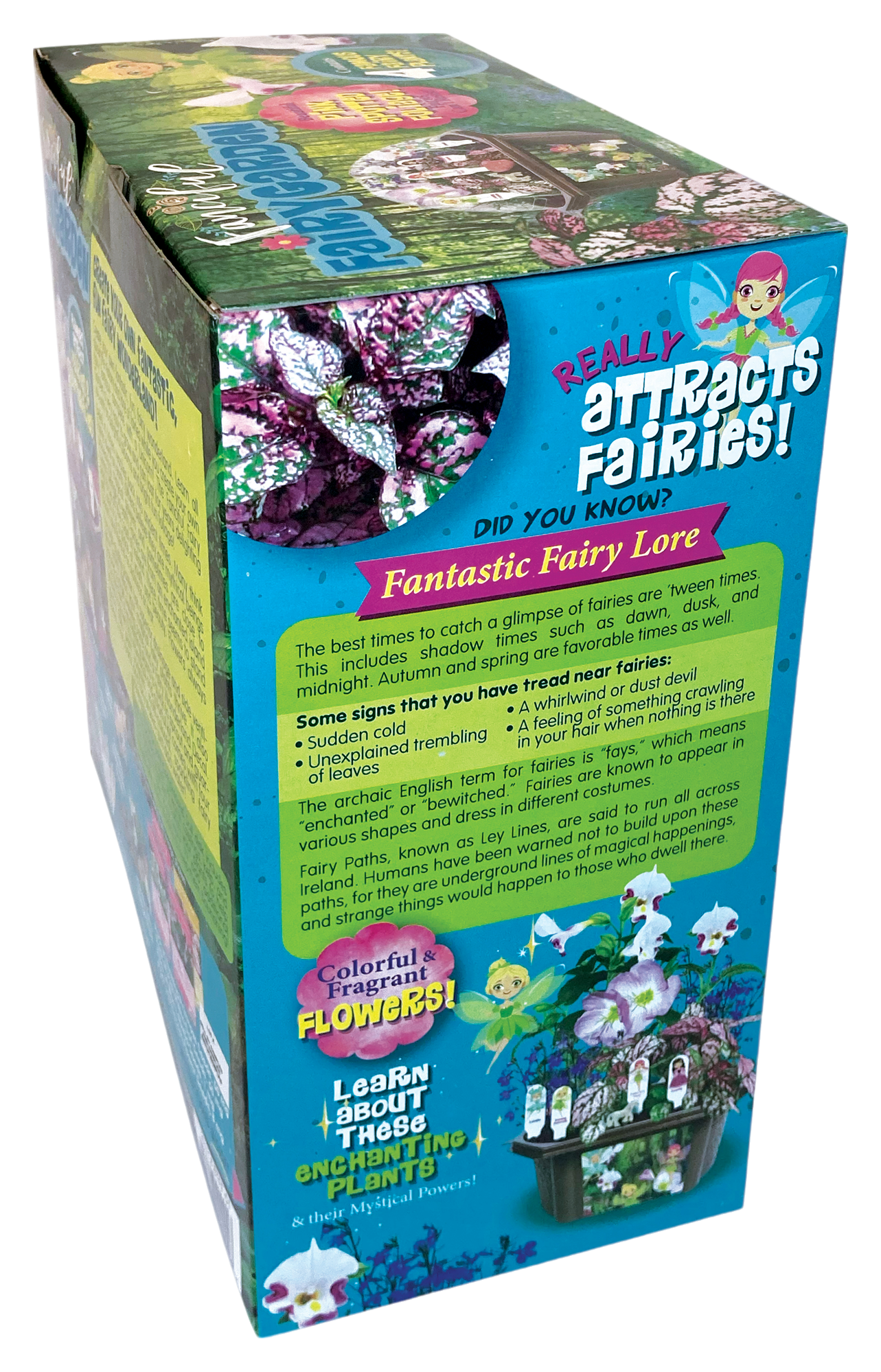 Fanciful Fairy Garden Biosphere Terrarium product image 8
