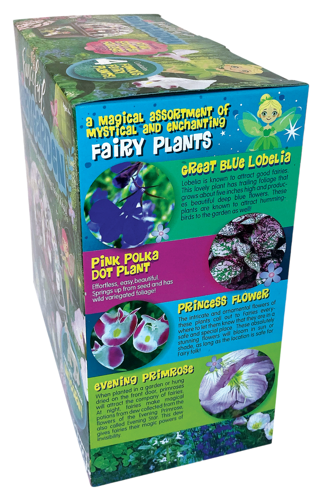 Fanciful Fairy Garden Biosphere Terrarium product image 9