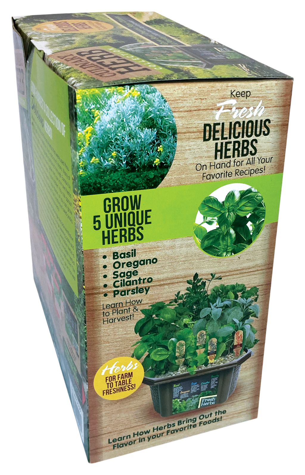Culinary Herb Collection Biosphere Terrarium product image 5