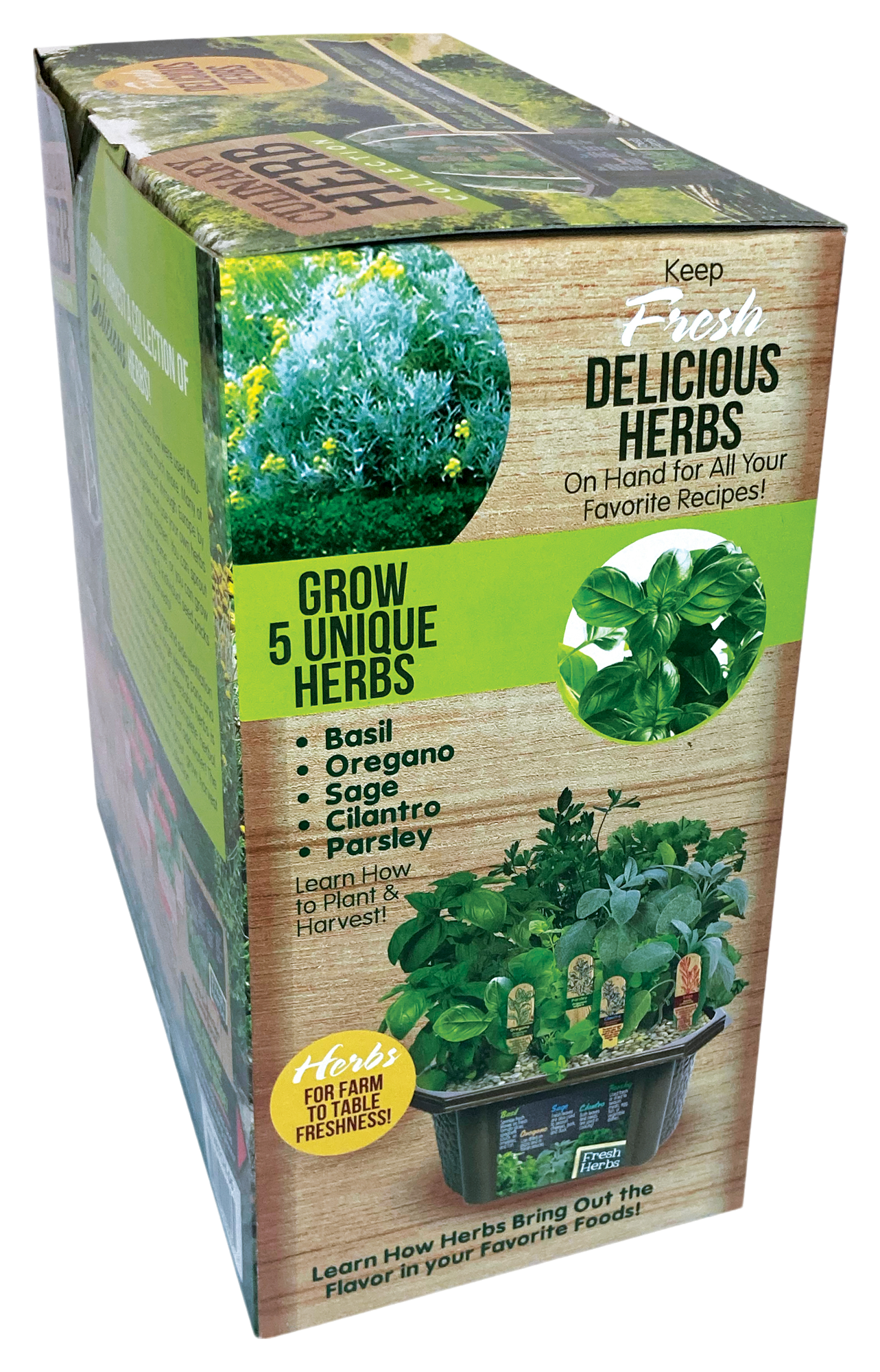 Culinary Herb Collection Biosphere Terrarium product image 5