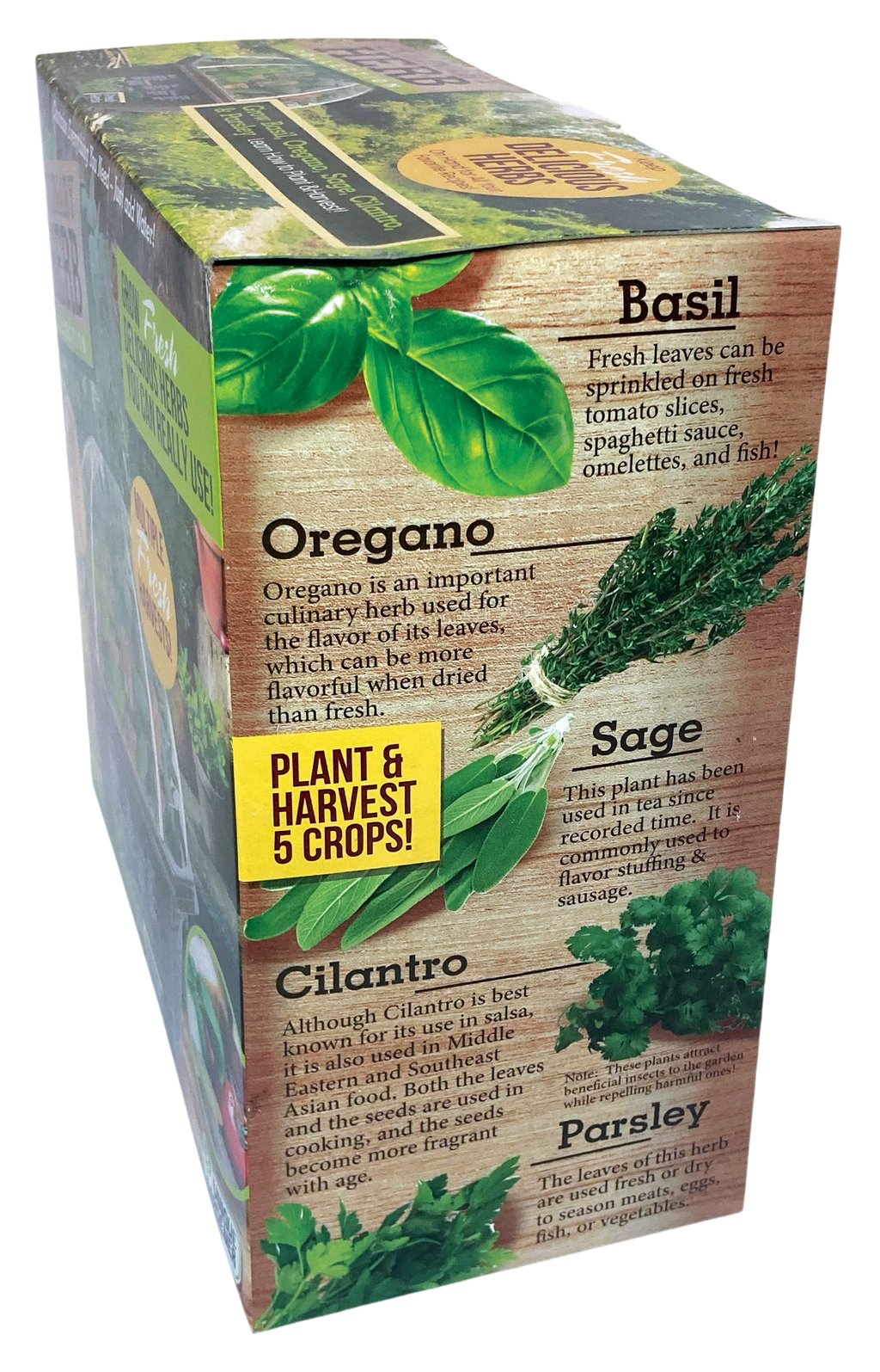 Culinary Herb Collection Biosphere Terrarium product image 6