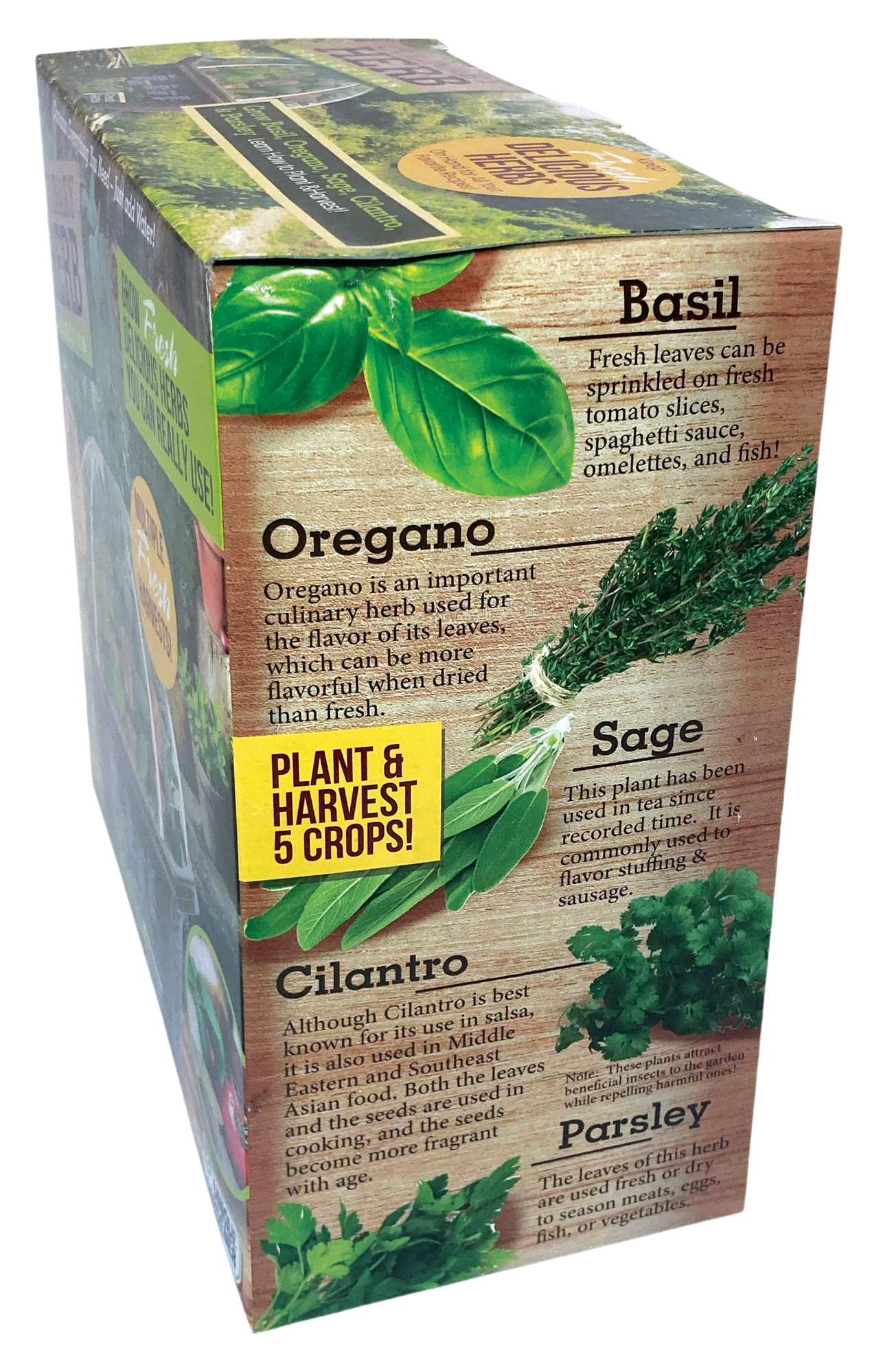 Culinary Herb Collection Biosphere Terrarium product image 6