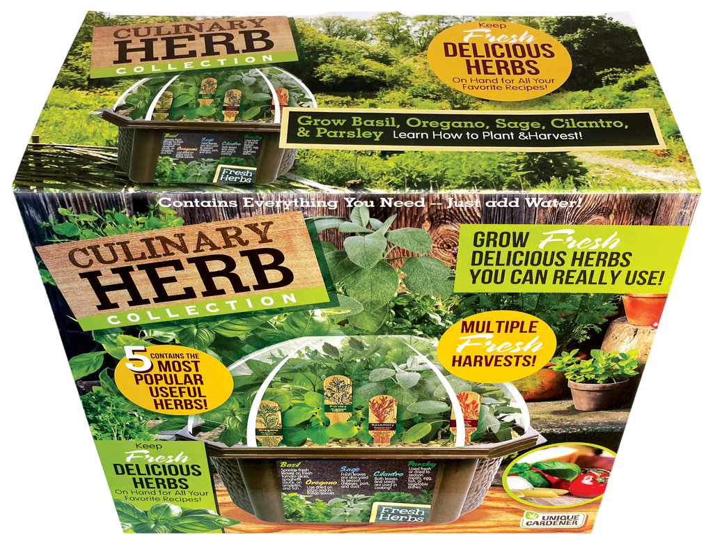Culinary Herb Collection Biosphere Terrarium product image 4