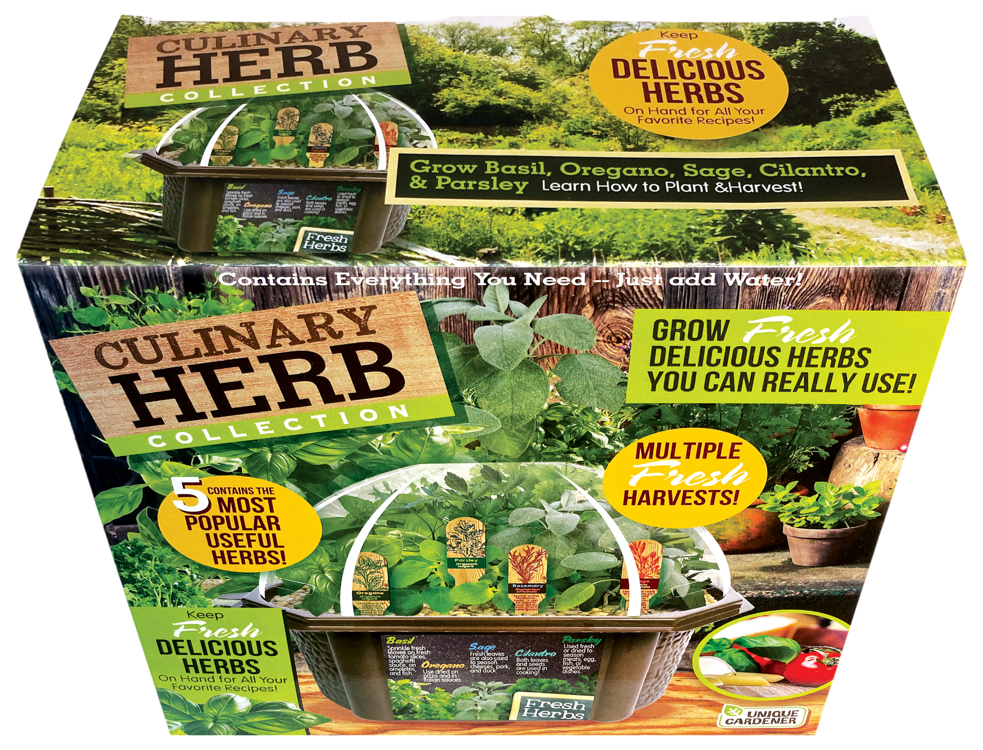 Culinary Herb Collection Biosphere Terrarium product image 4