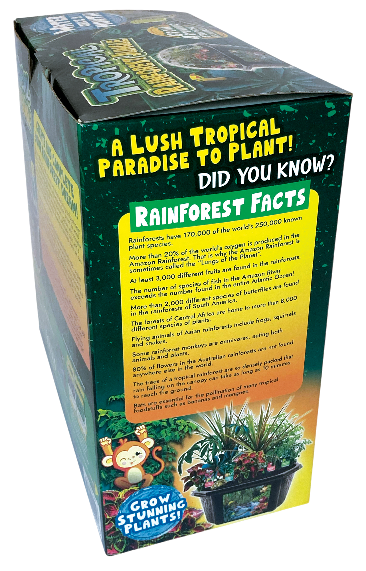 Tropical Rainforest Jungle Biosphere Terrarium — product image 8