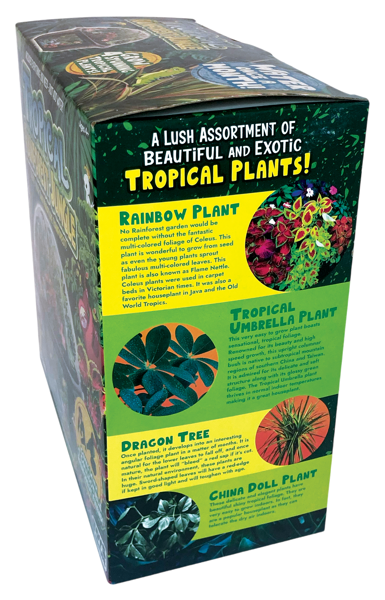 Tropical Rainforest Jungle Biosphere Terrarium — product image 9