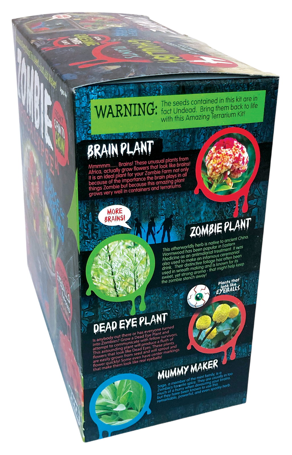 Zombie Apocalypse Biosphere Terrarium — product image 7