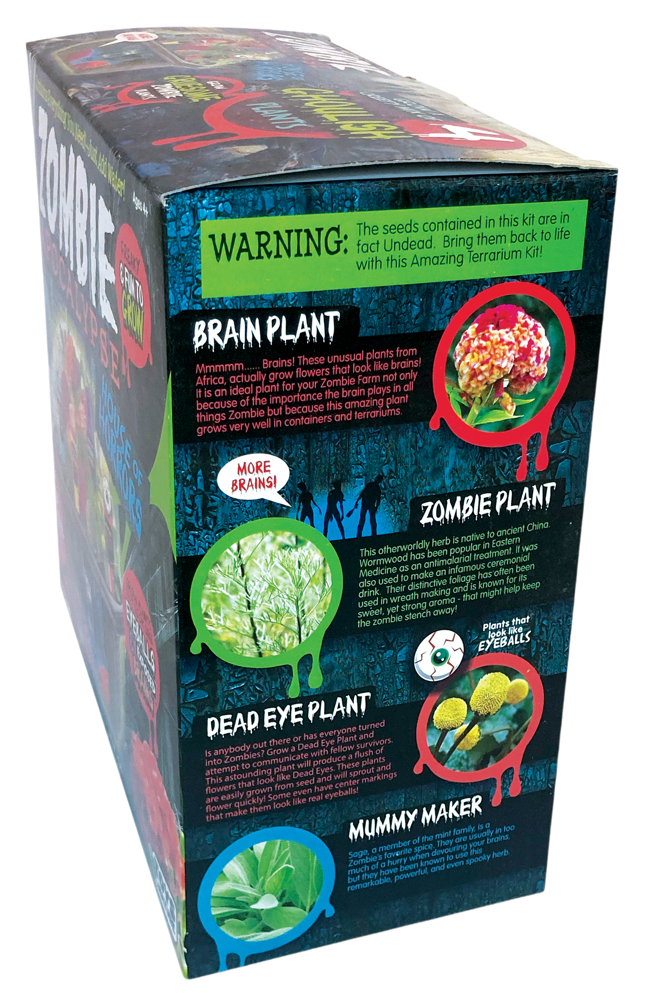 Zombie Apocalypse Biosphere Terrarium — product image 7
