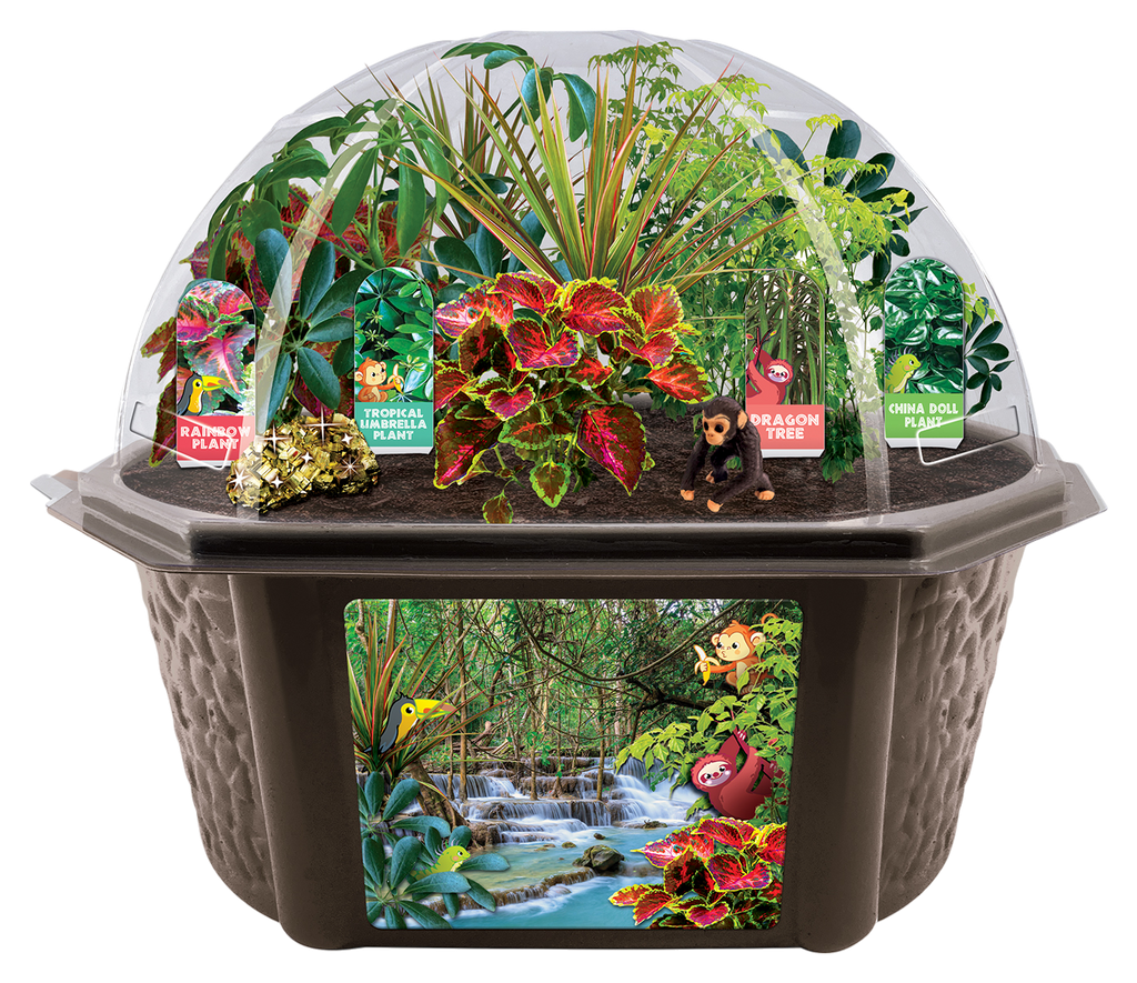 Tropical Rainforest Jungle Biosphere Terrarium — product image 5
