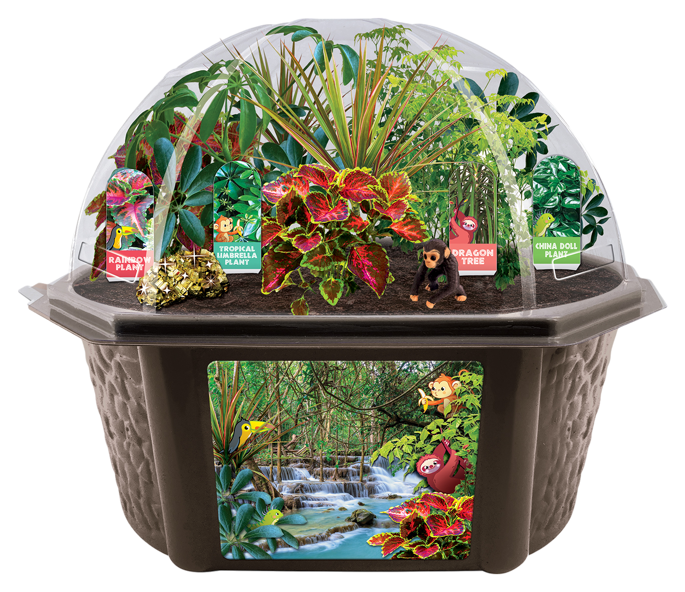 Tropical Rainforest Jungle Biosphere Terrarium — product image 5