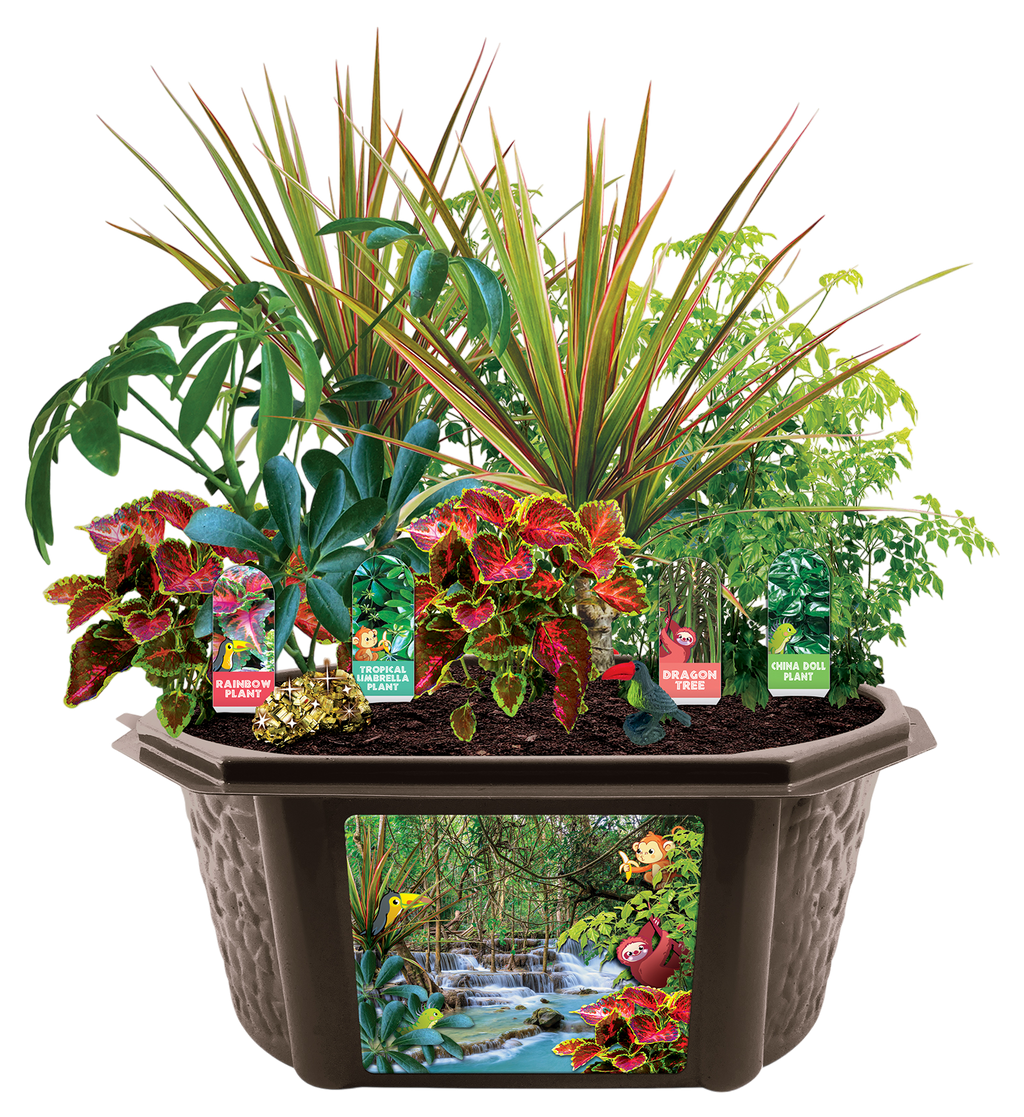 Tropical Rainforest Jungle Biosphere Terrarium — product image 6
