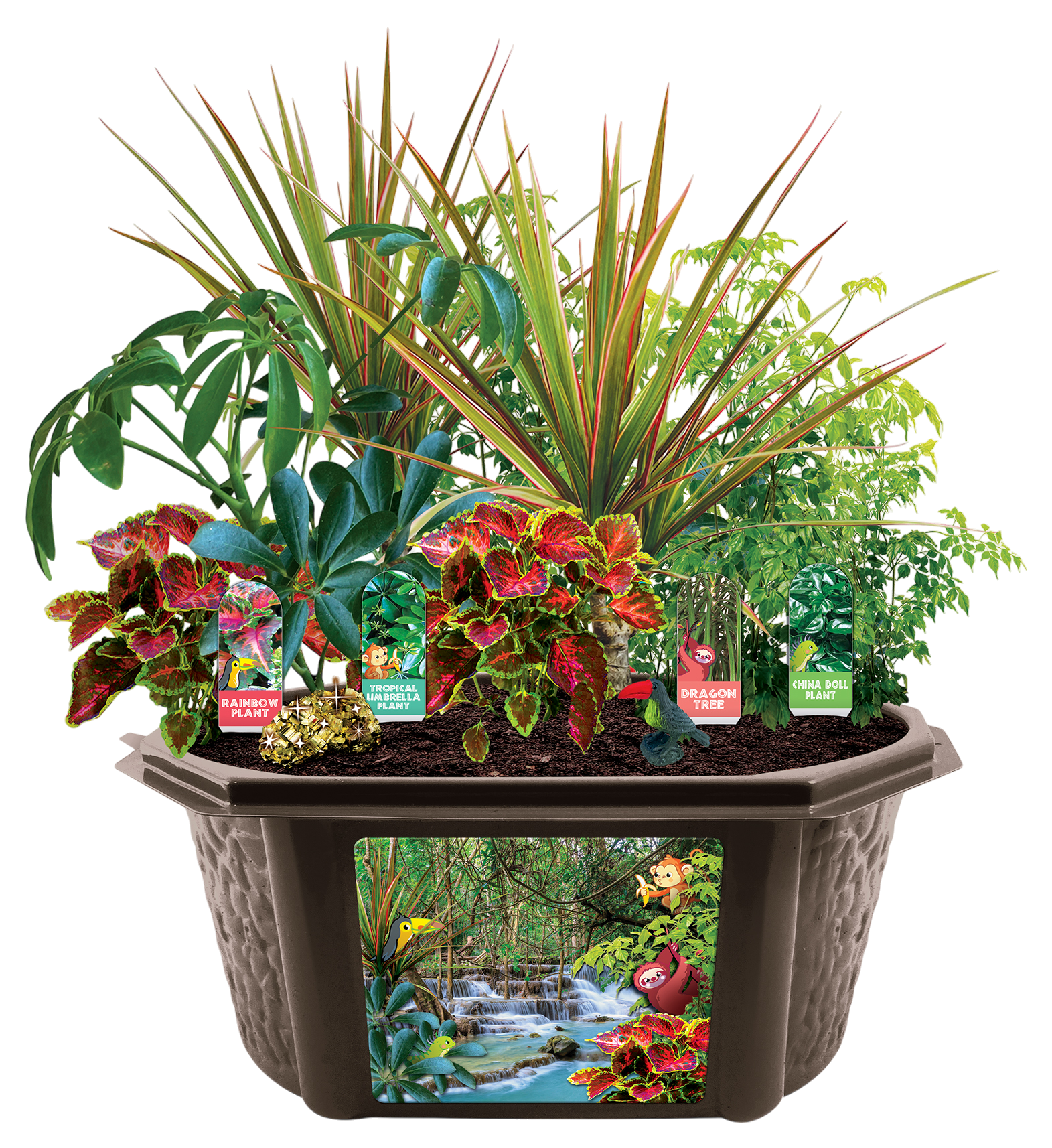 Tropical Rainforest Jungle Biosphere Terrarium — product image 6