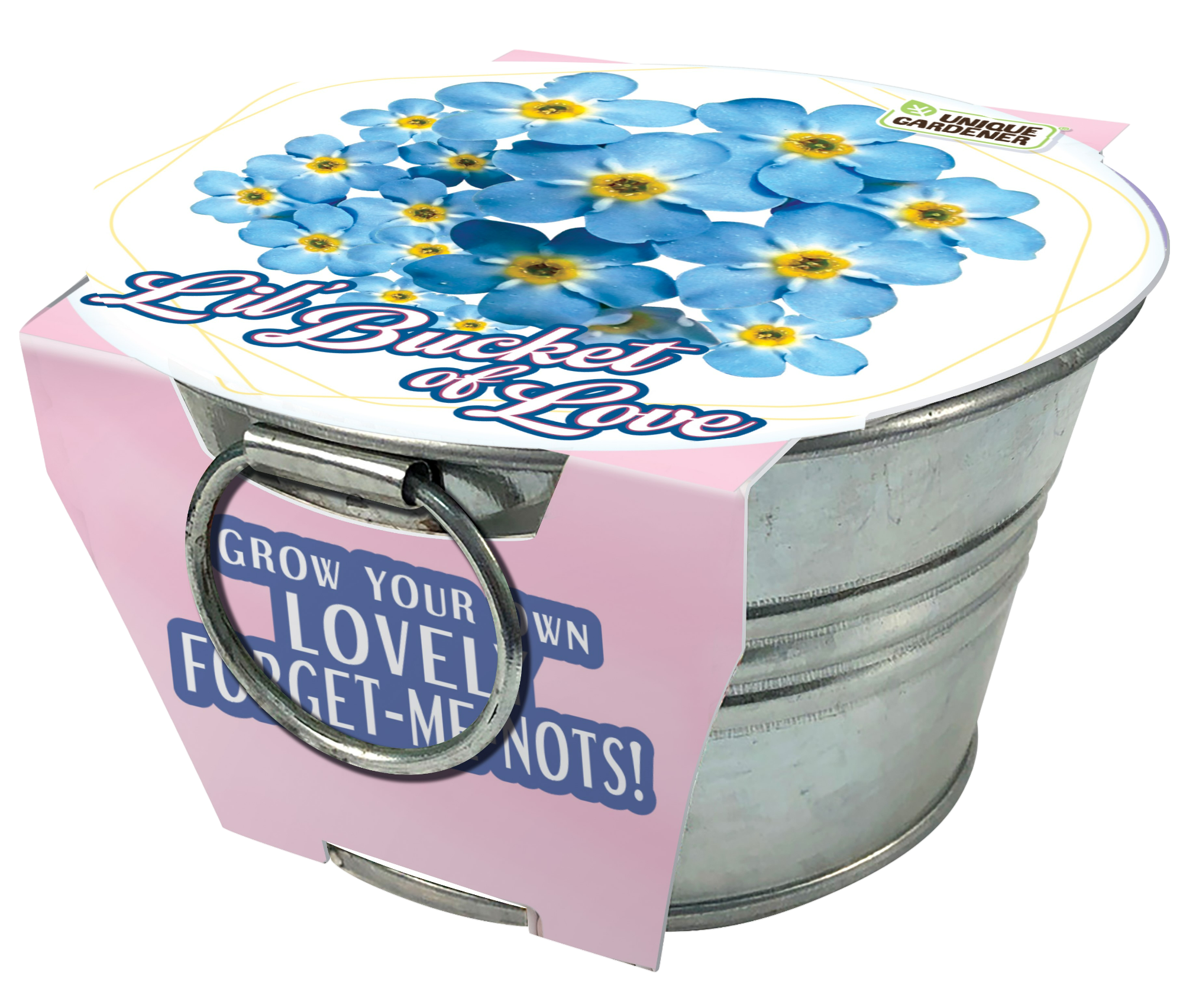 Lil' Bucket of Love - Grow Your Own Forget-Me-Nots Multipack of 3 — product image 6