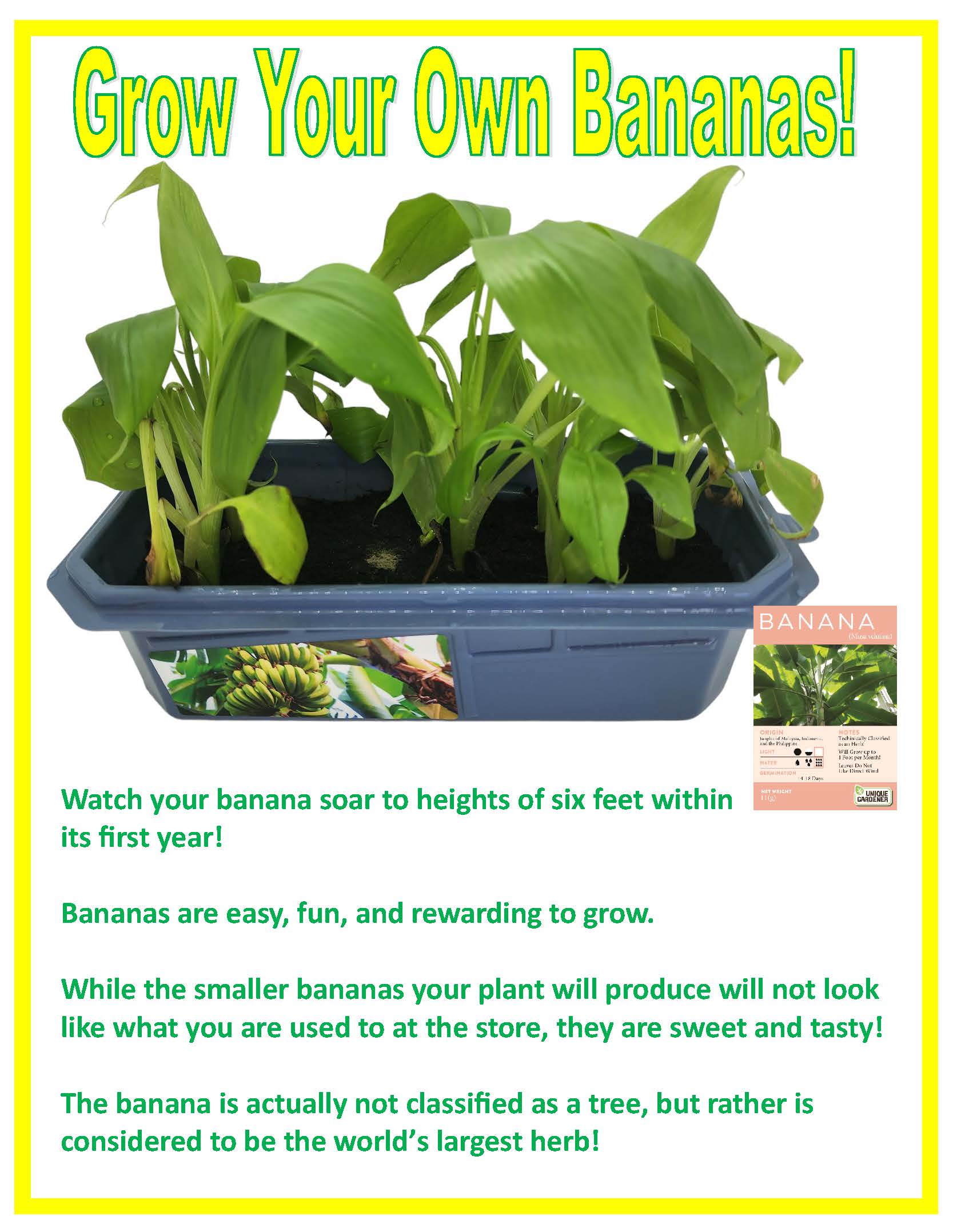 Bountiful Bananas Sprouter Terrarium — product image 5