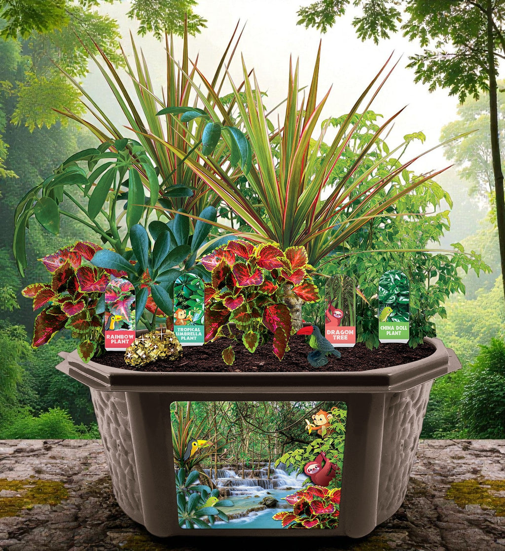 Tropical Rainforest Jungle Biosphere Terrarium — product image 3
