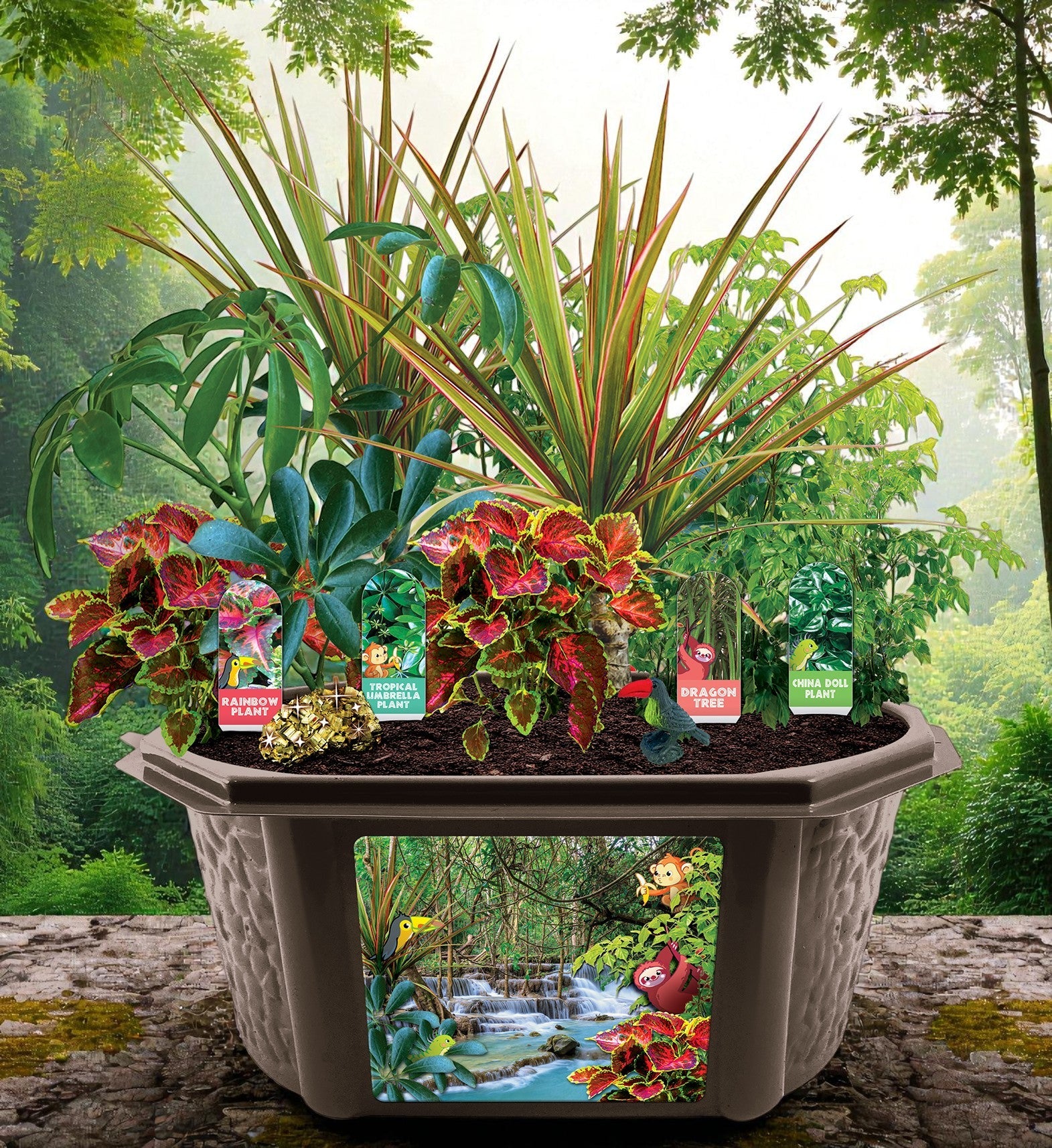 Tropical Rainforest Jungle Biosphere Terrarium — product image 3