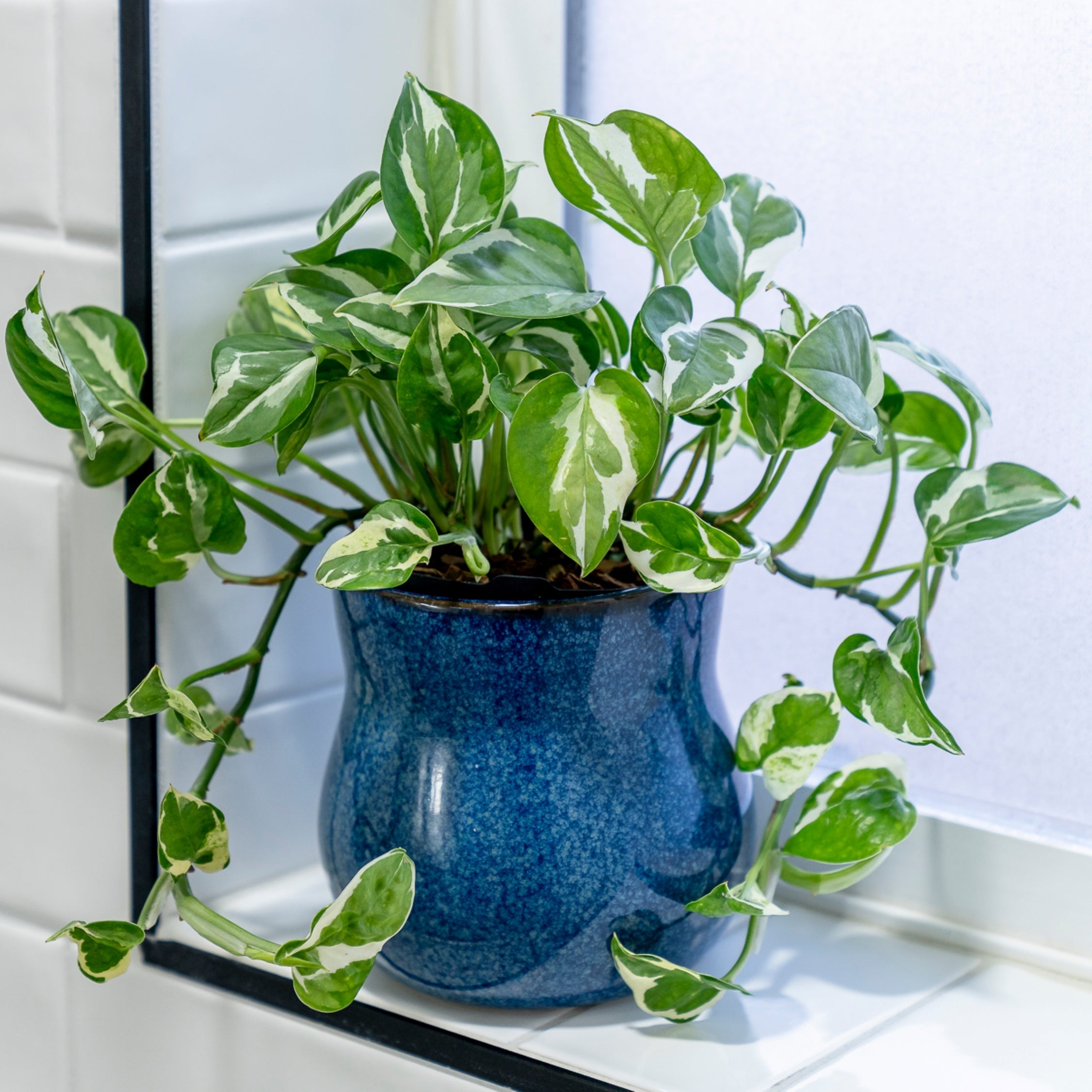 Ceramic Plant Pot with Rubber Liner - River Blue product image 4