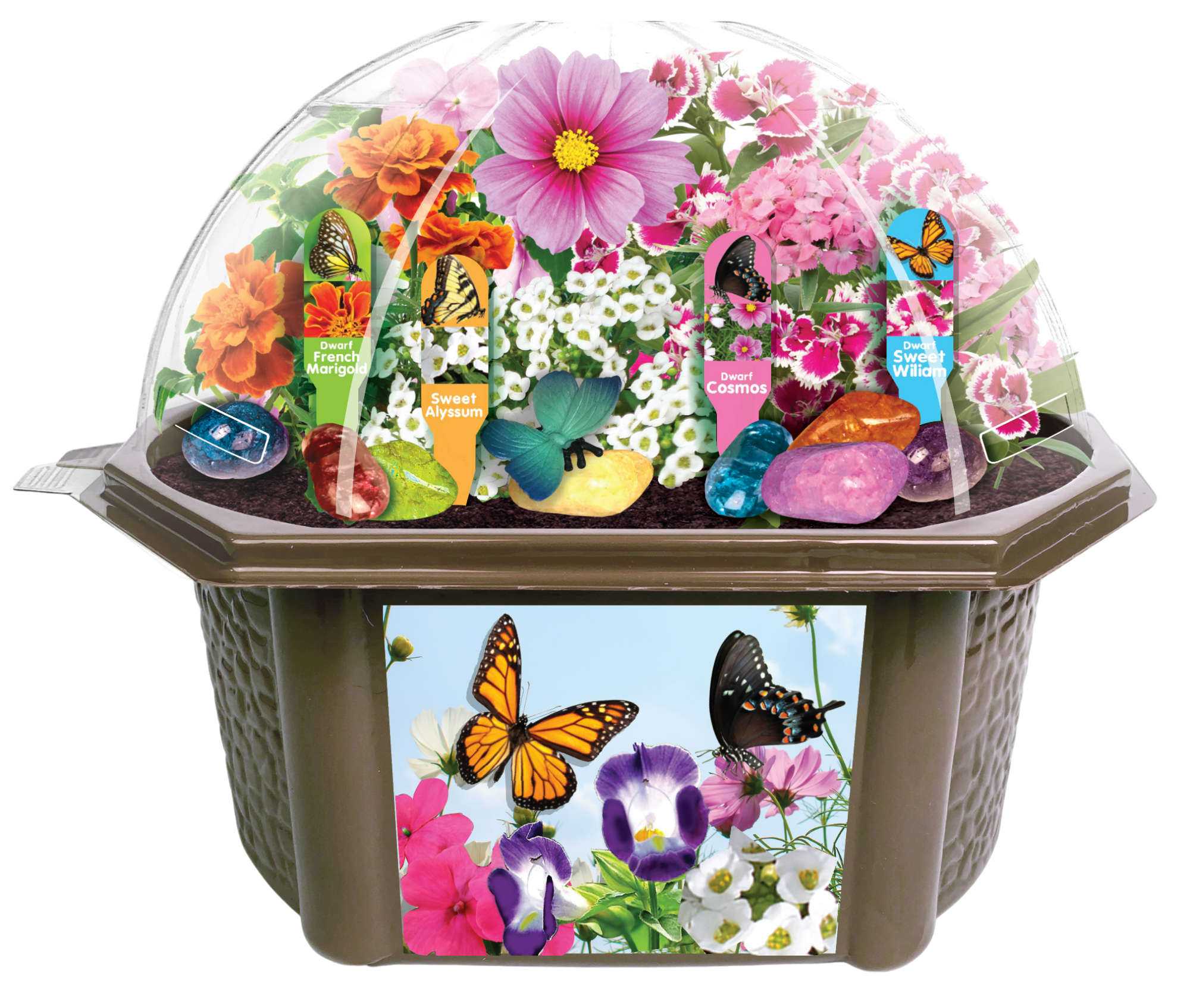 Bountiful Butterfly Garden Biosphere Terrarium — product image 3