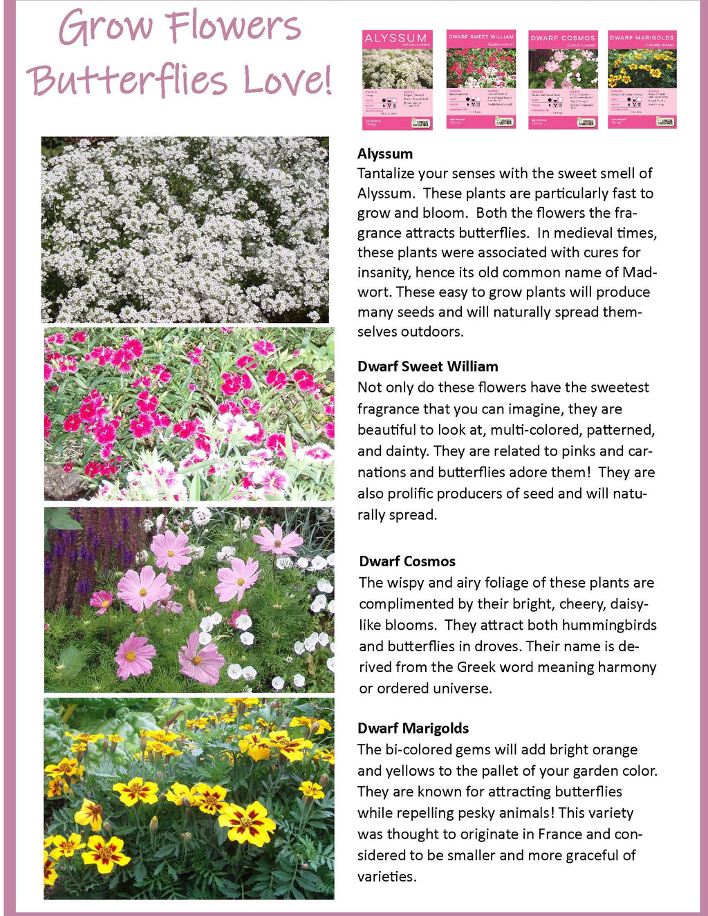 Bountiful Butterfly Garden Biosphere Terrarium — product image 10